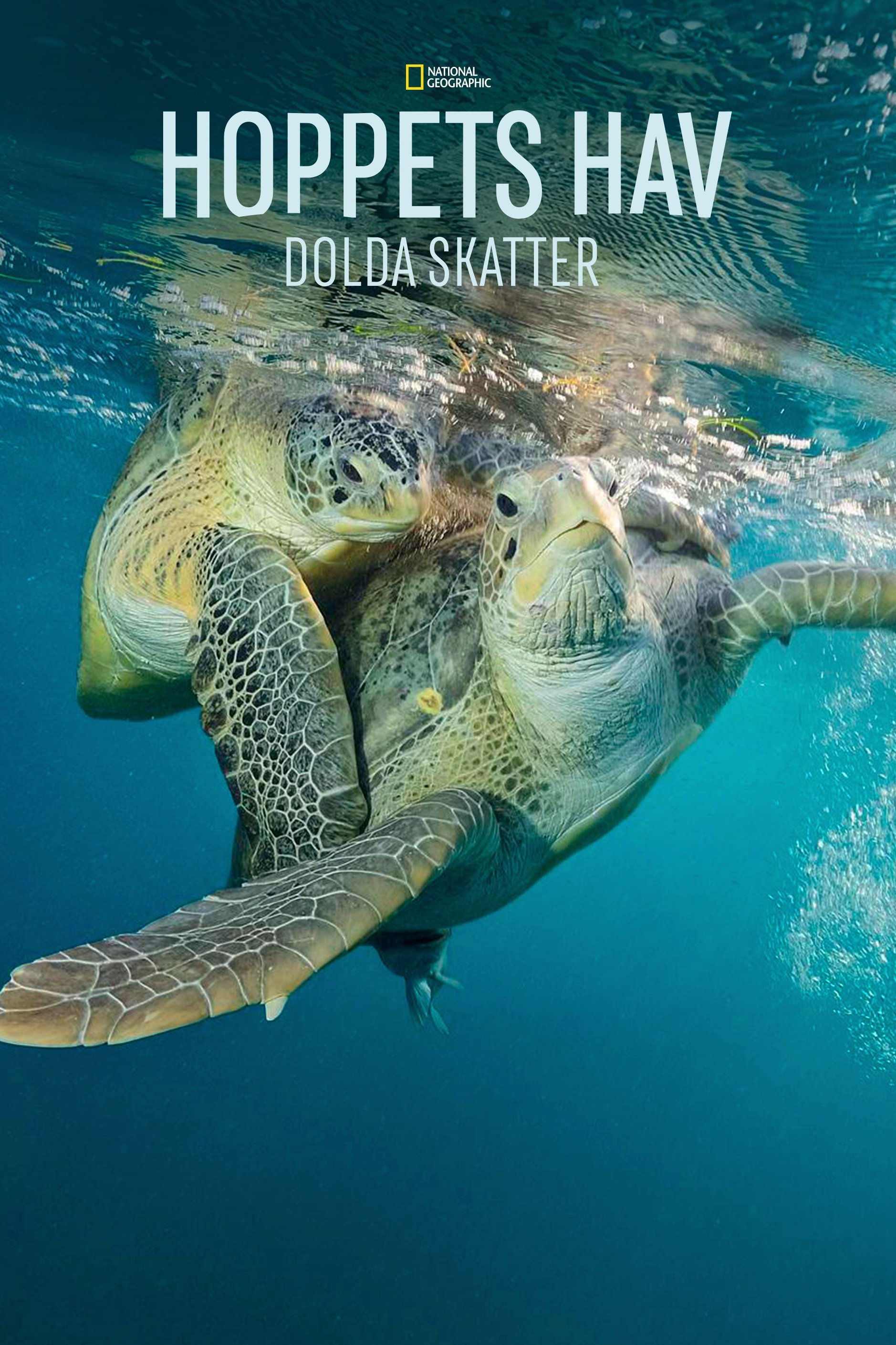 Hoppets hav: Dolda skatter