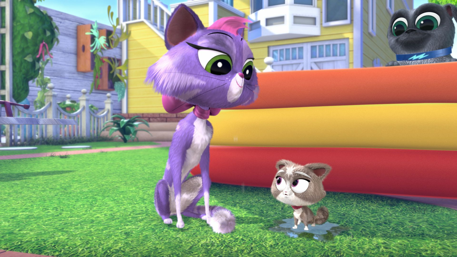 11. Hissys kisse / Polly vill ha en mops