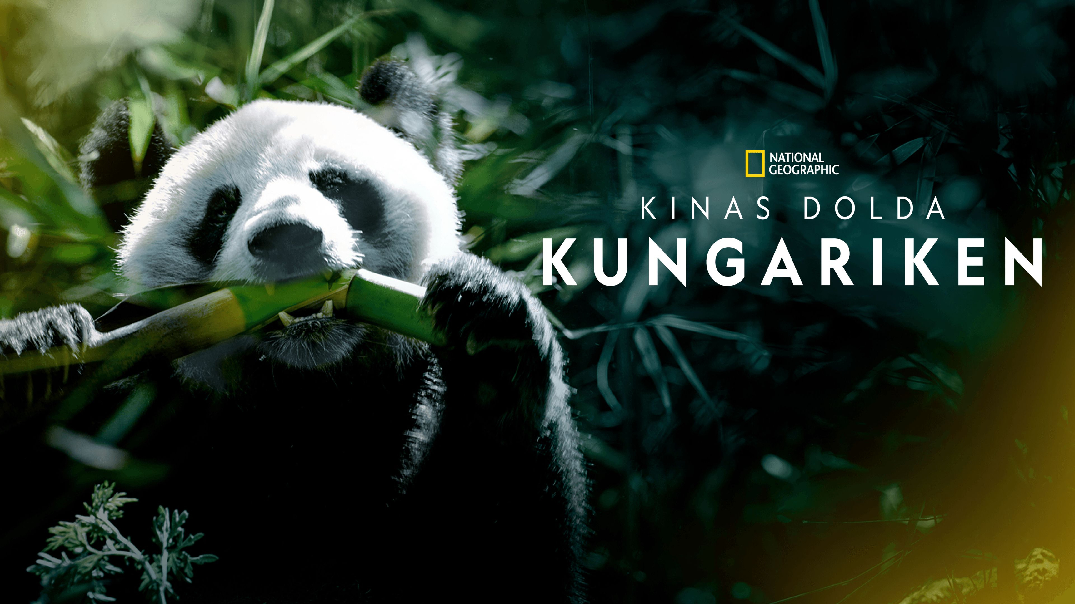 Kinas dolda kungariken