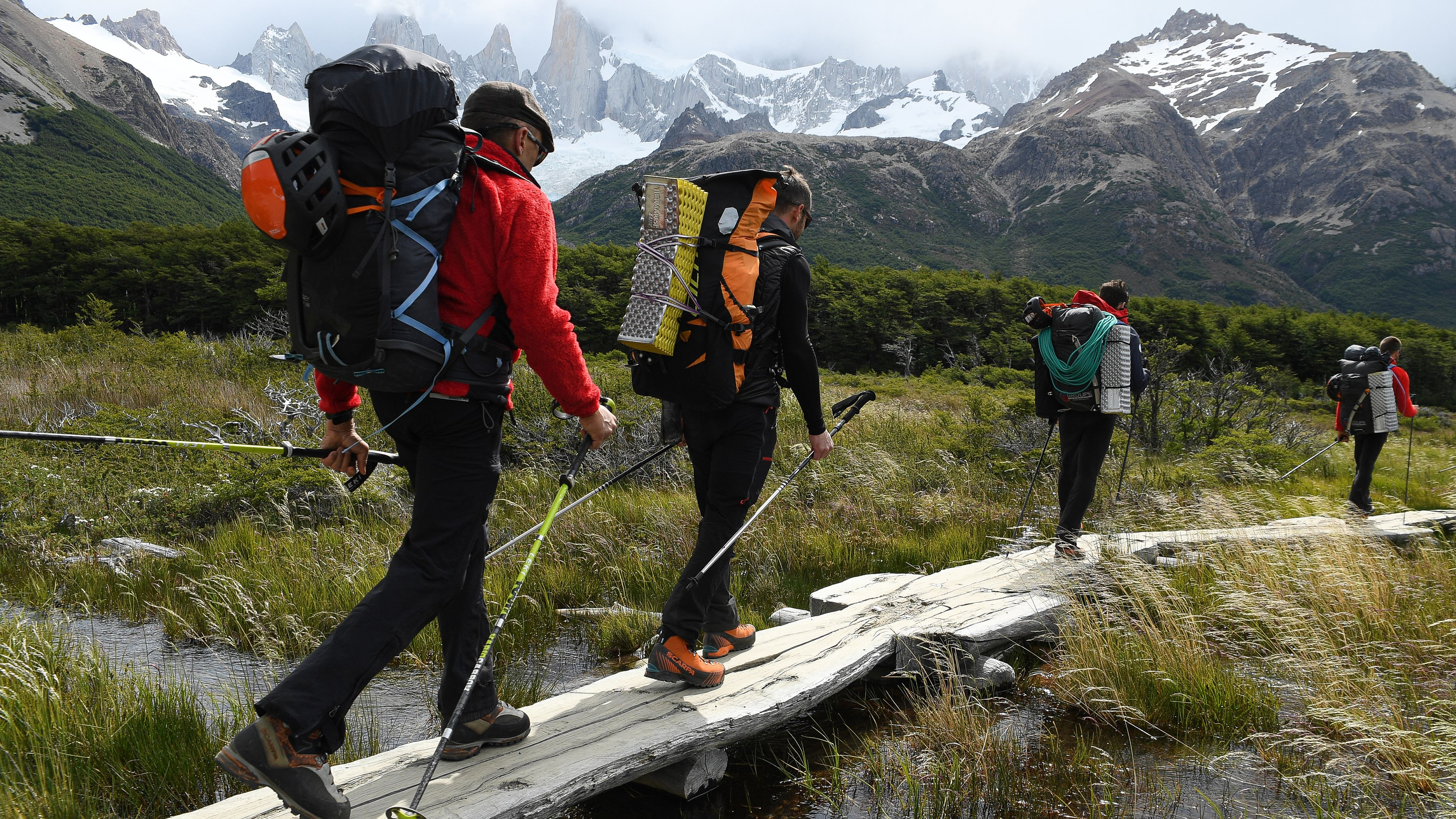 Patagonia Wings