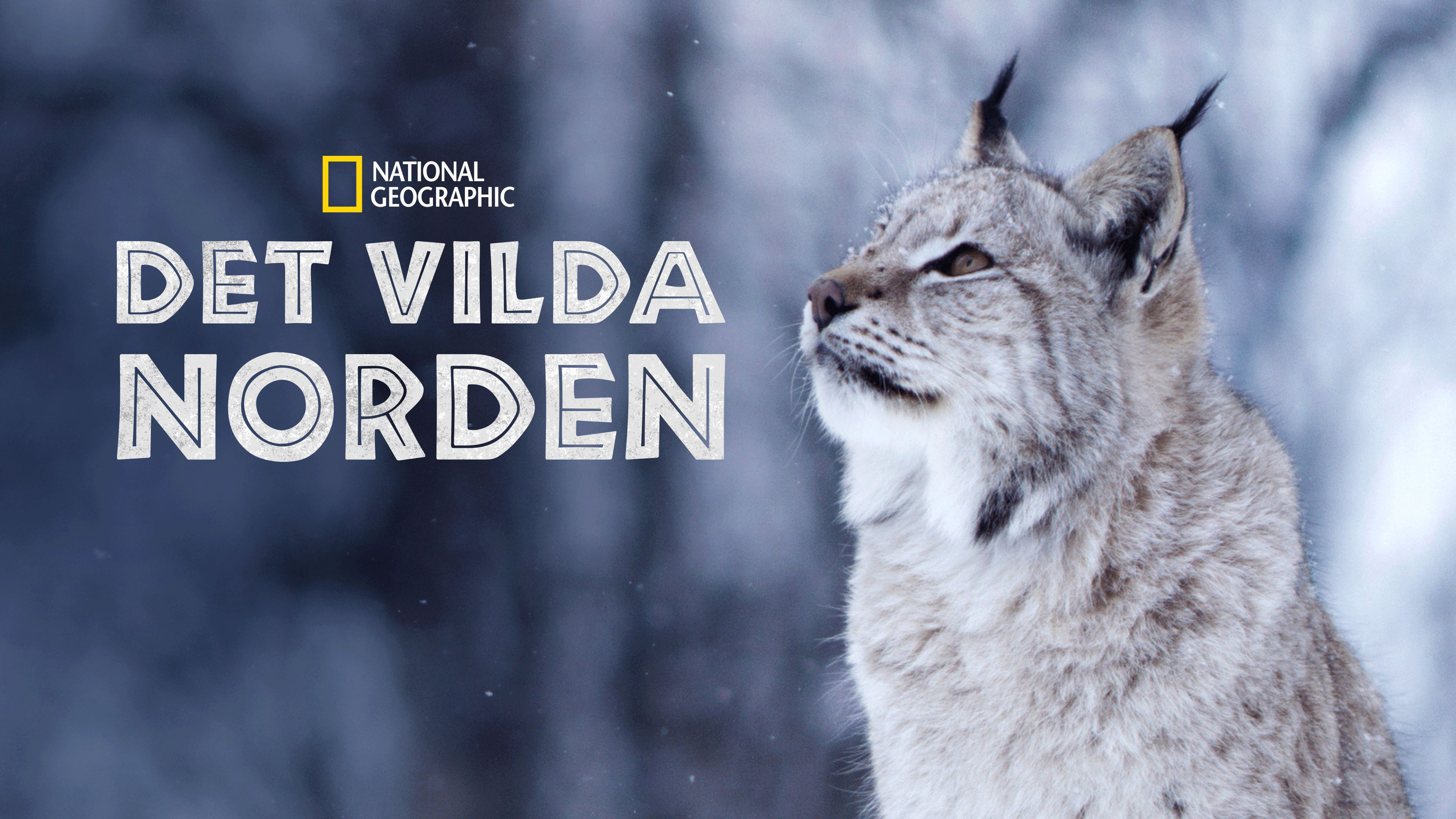 Det vilda Norden