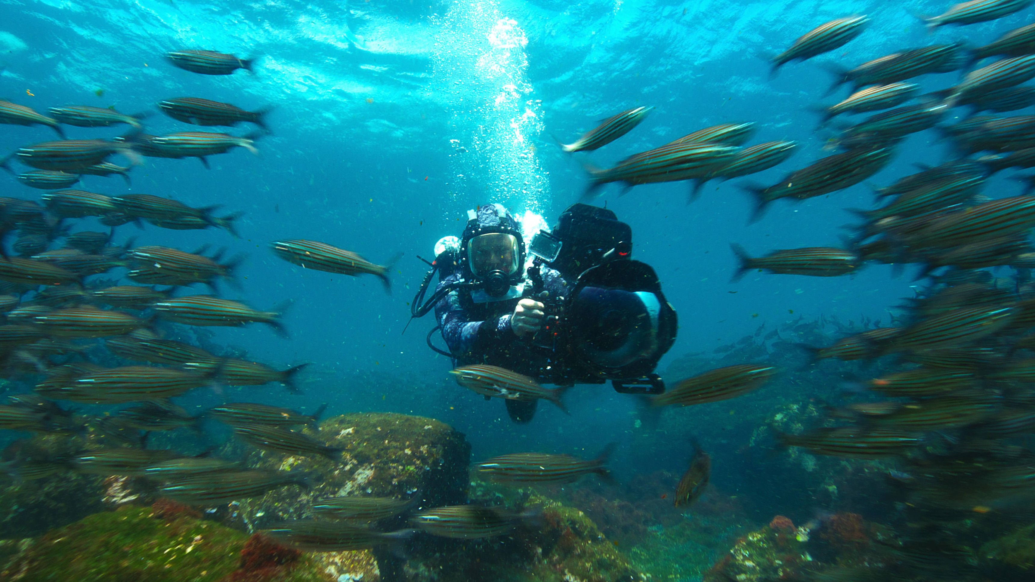 4. Galapagos under