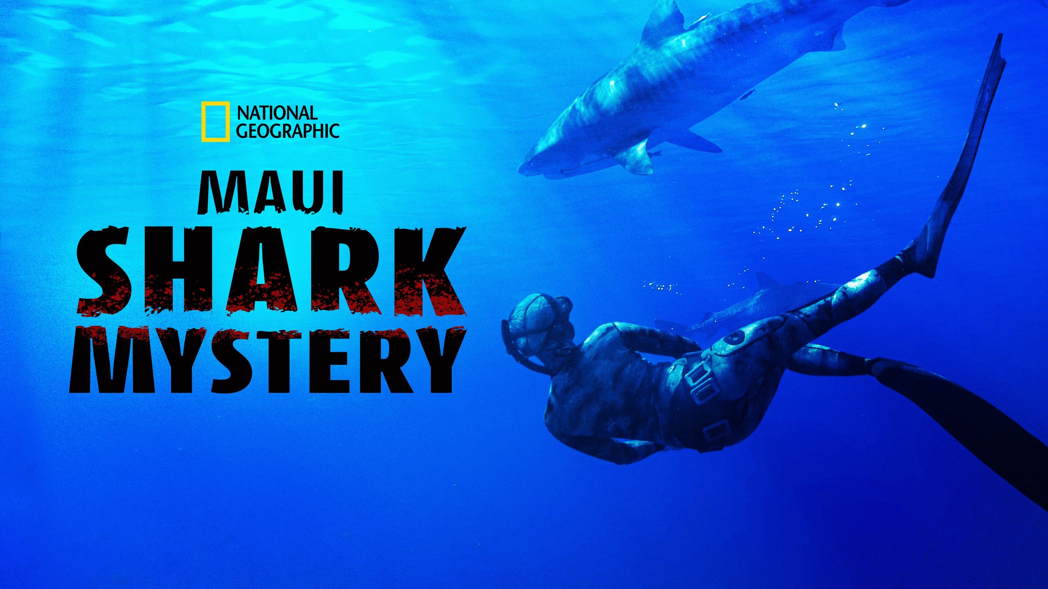 Maui Shark Mystery