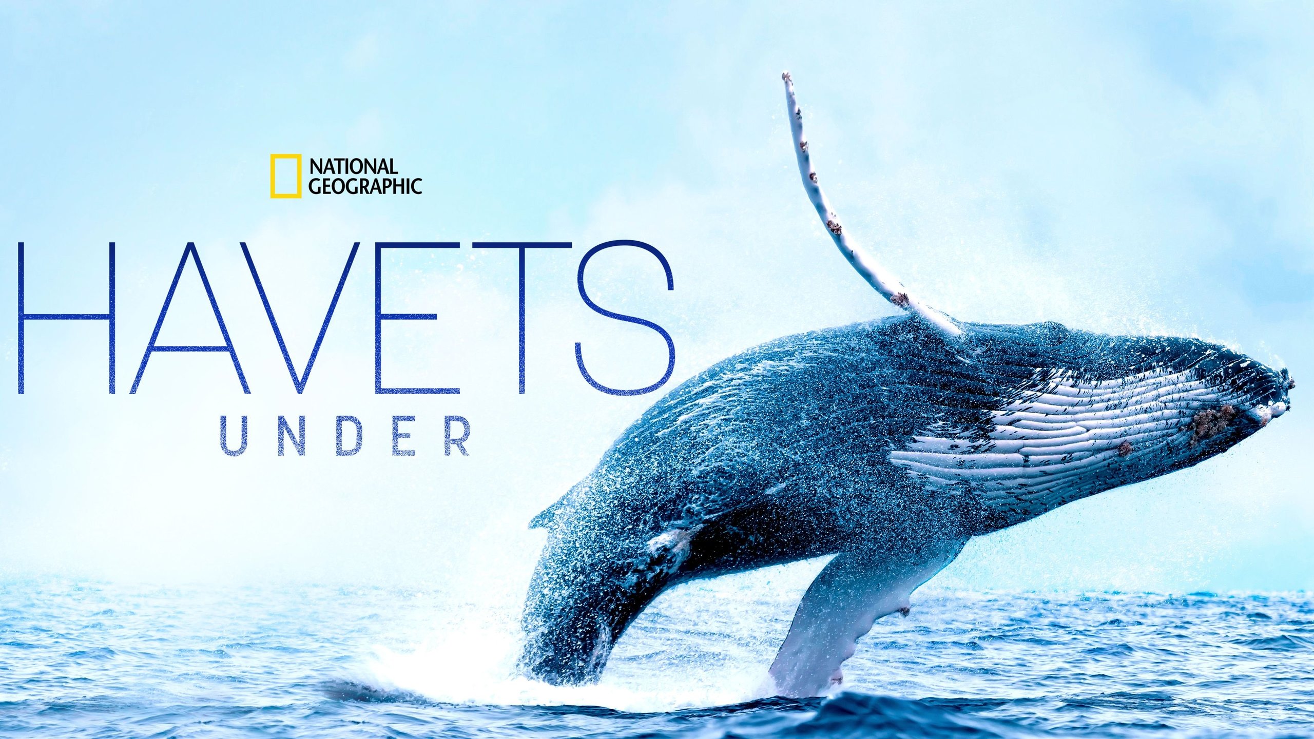 Havets under