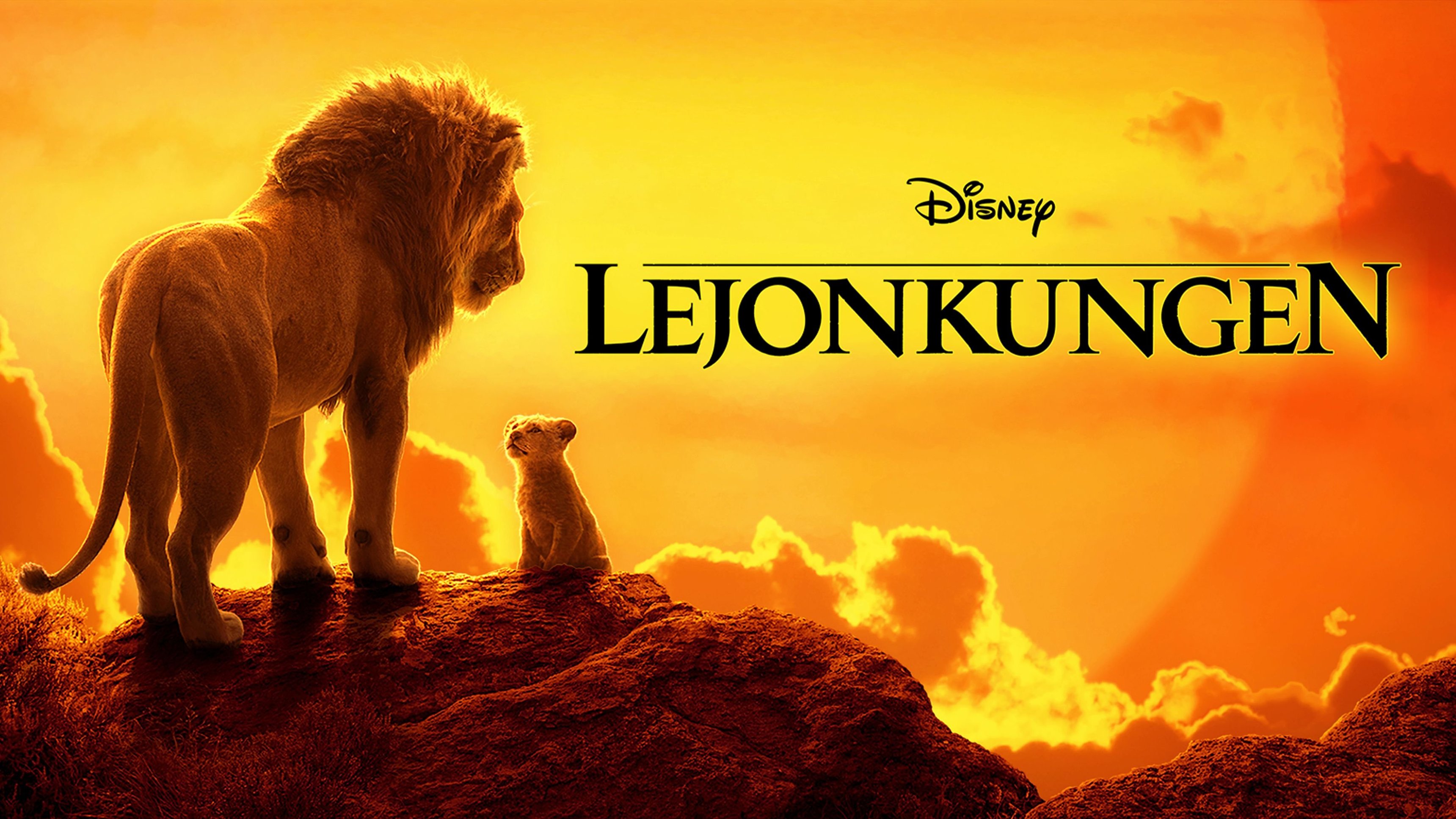 Lejonkungen