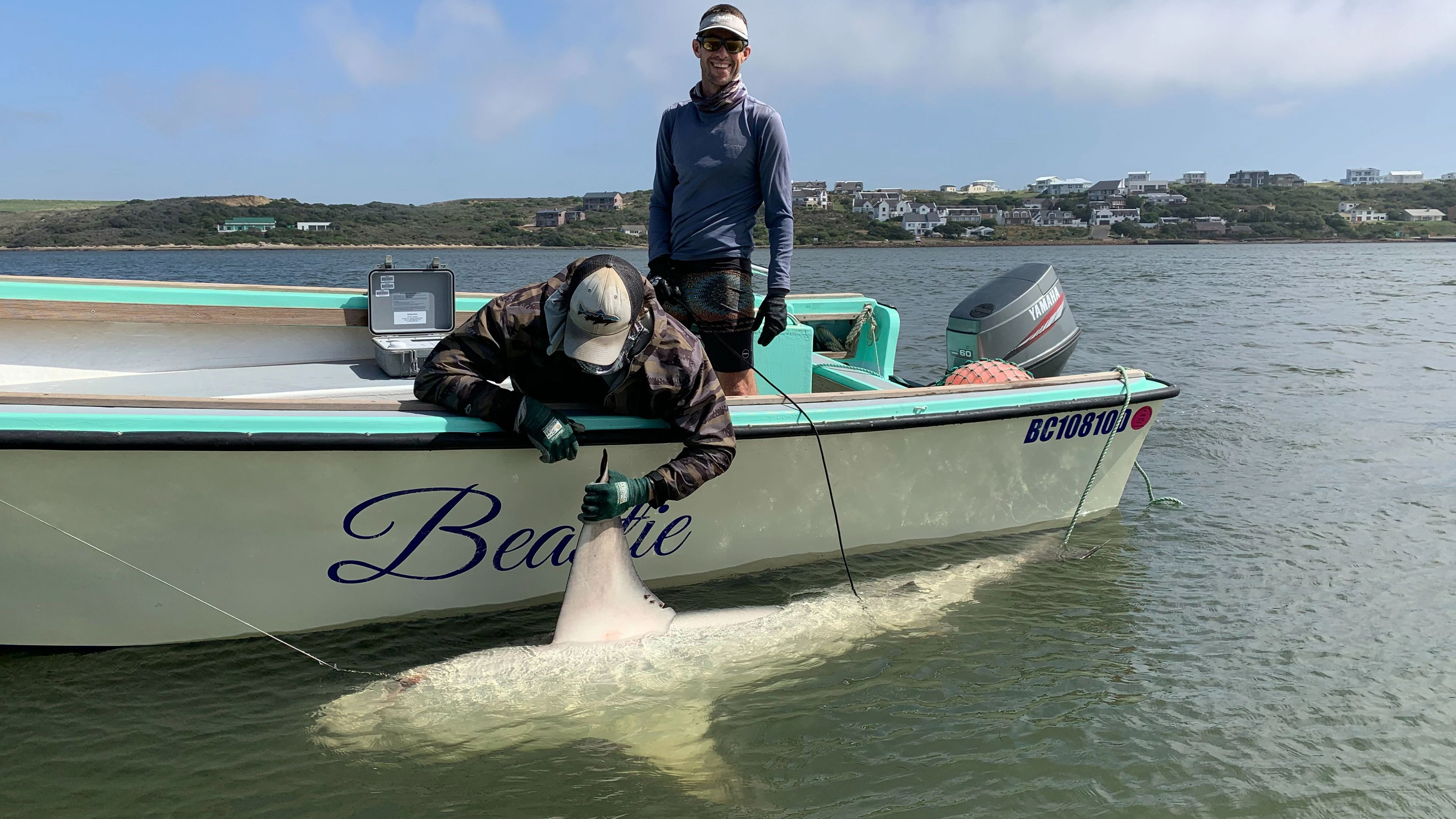 Secrets of The Bullshark