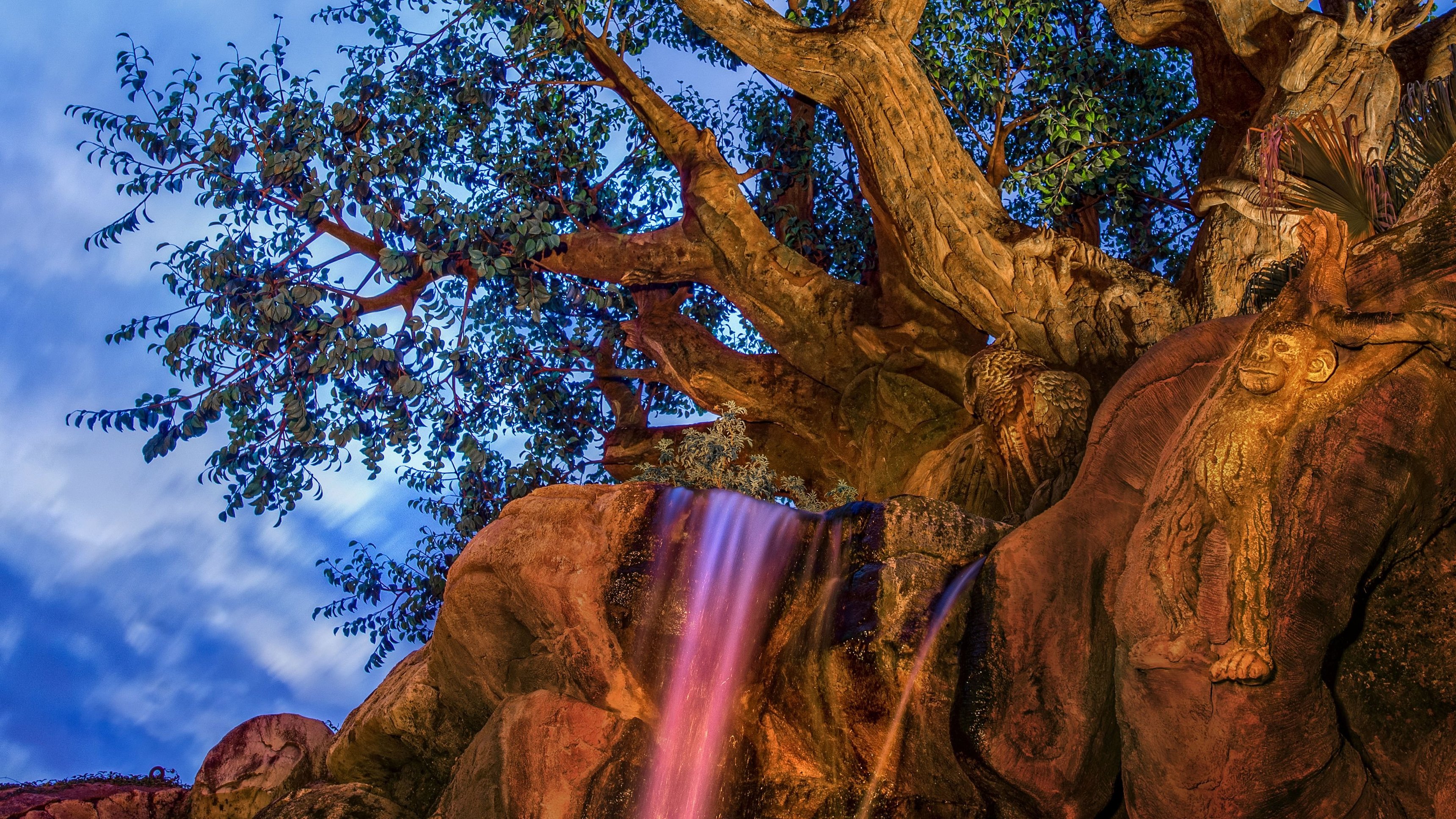 2. Soluppgång på DISNEY’S ANIMAL KINGDOM® Park
