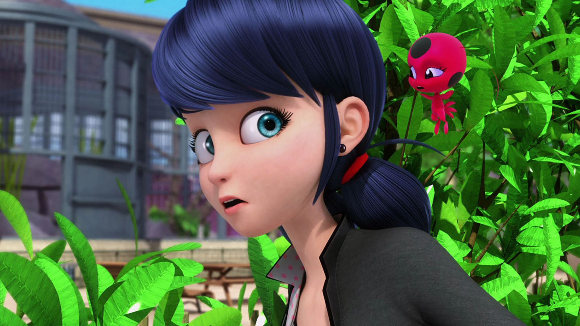 17. Animan