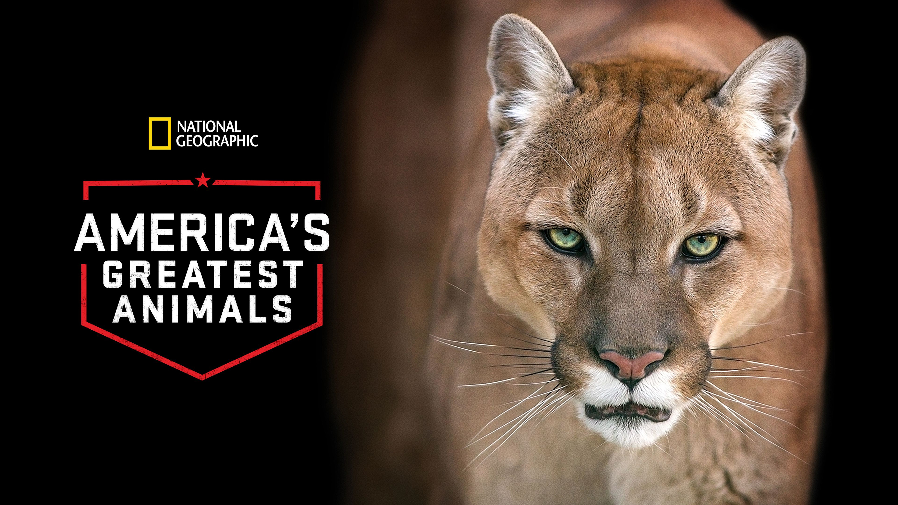 America's Greatest Animals