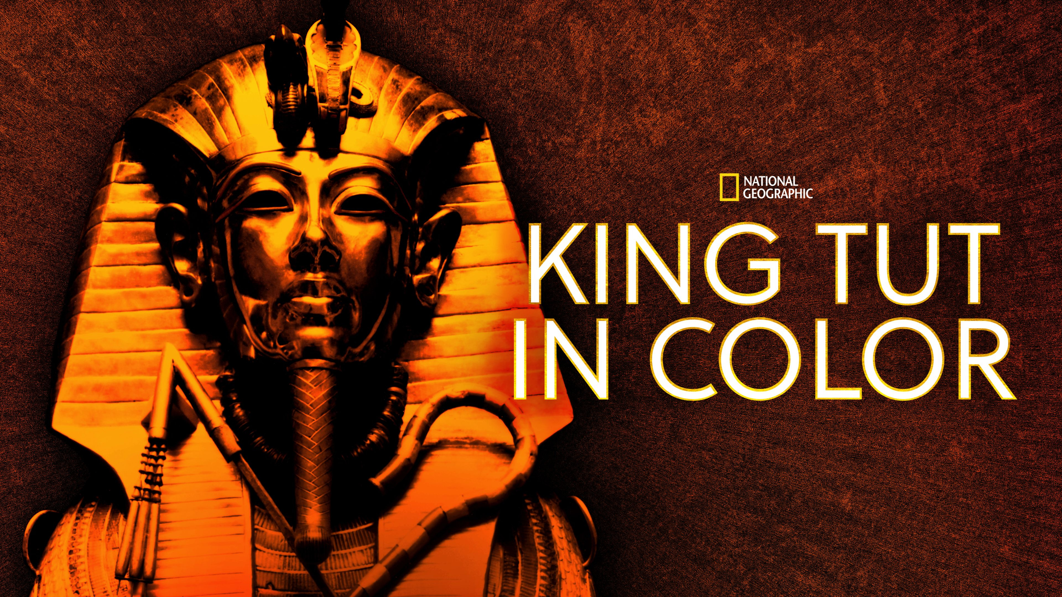 King Tut In Color