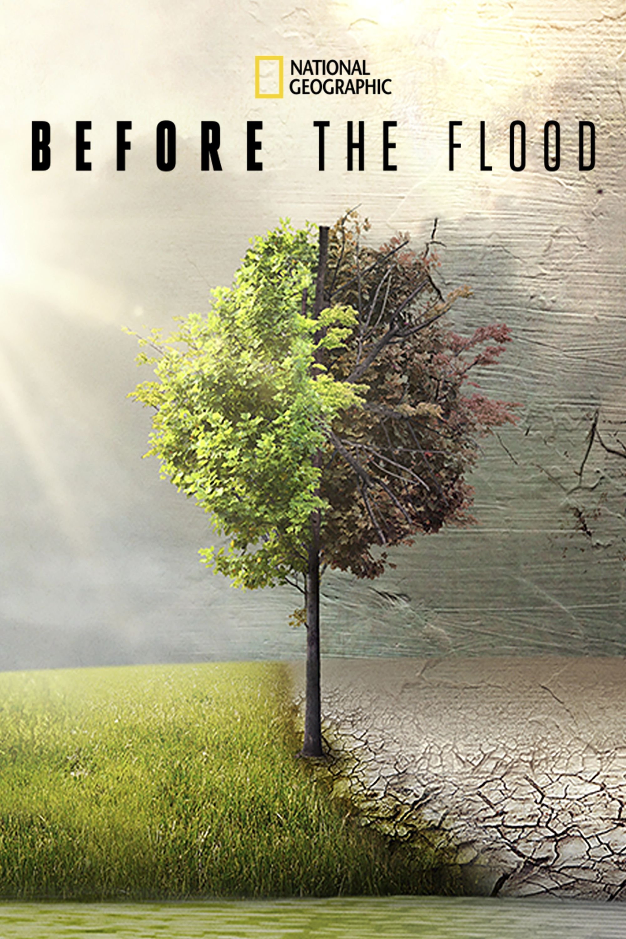 Before The Flood