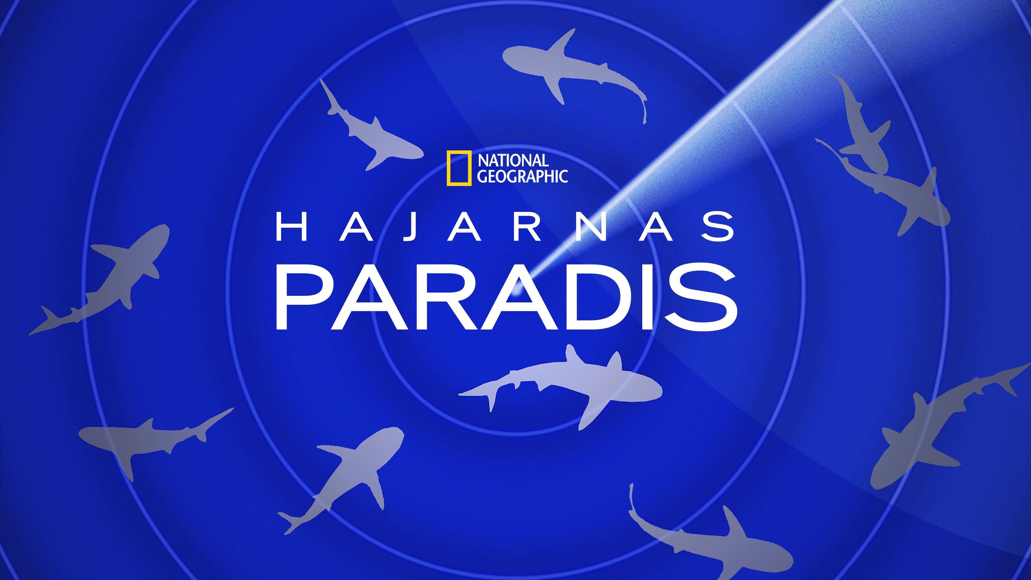 Hajarnas paradis