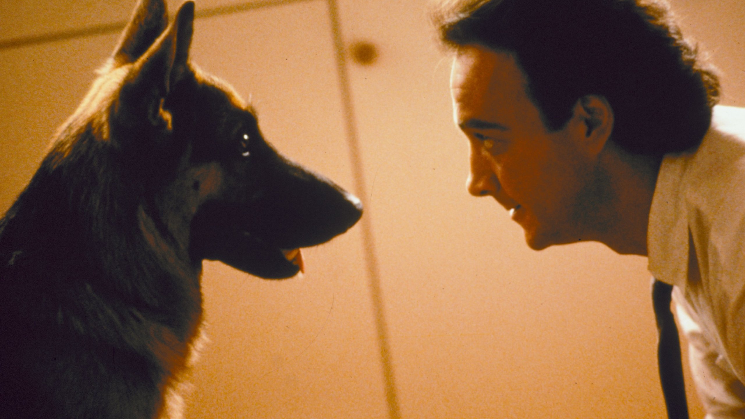 K-9