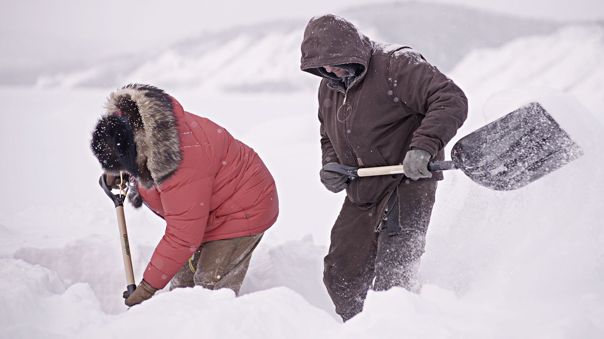 5. Cold Catch