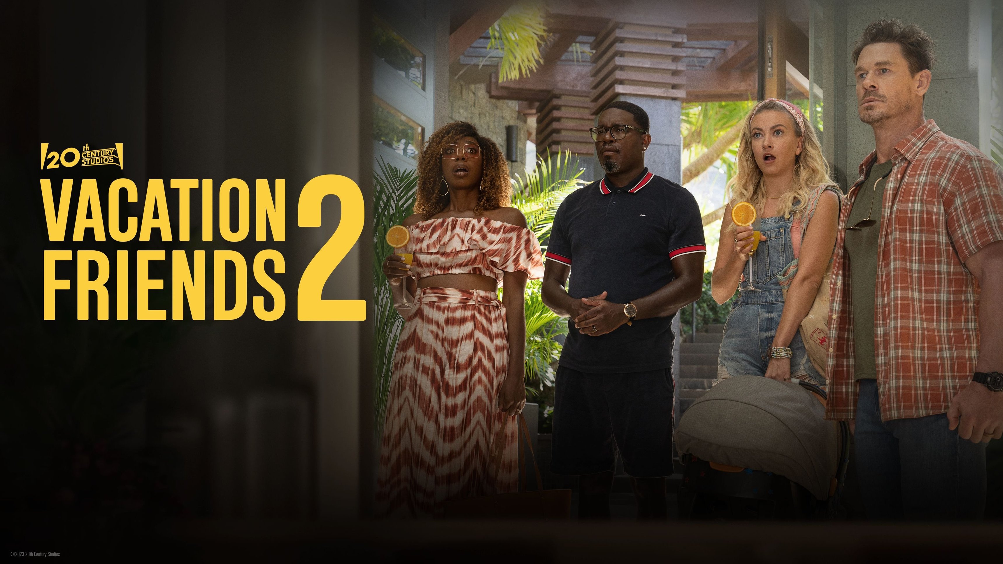 Vacation Friends 2