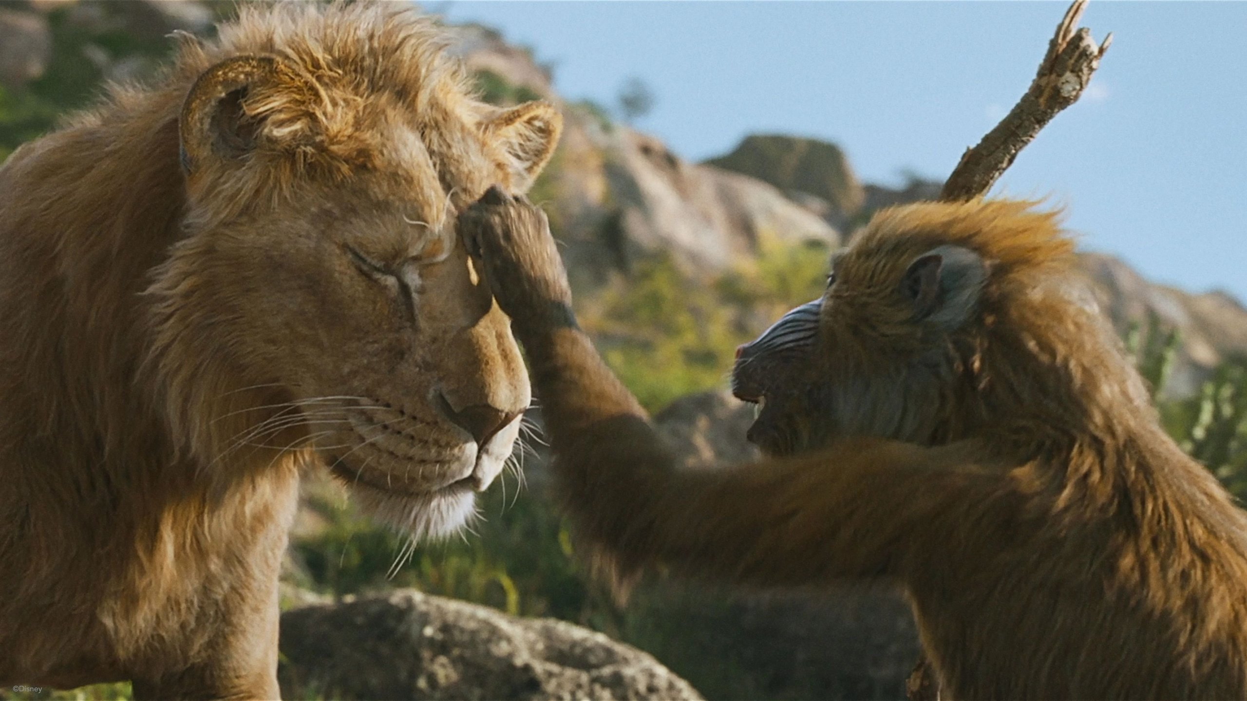 Mufasa: Lejonkungen