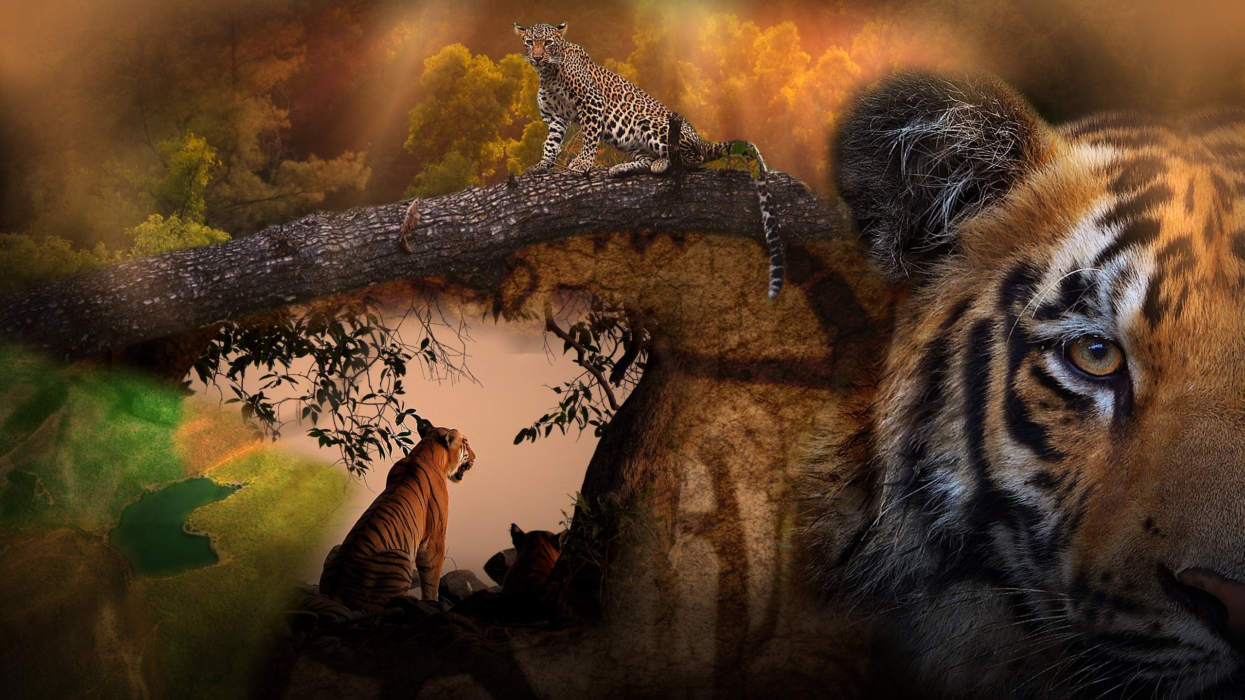Tigerarvet