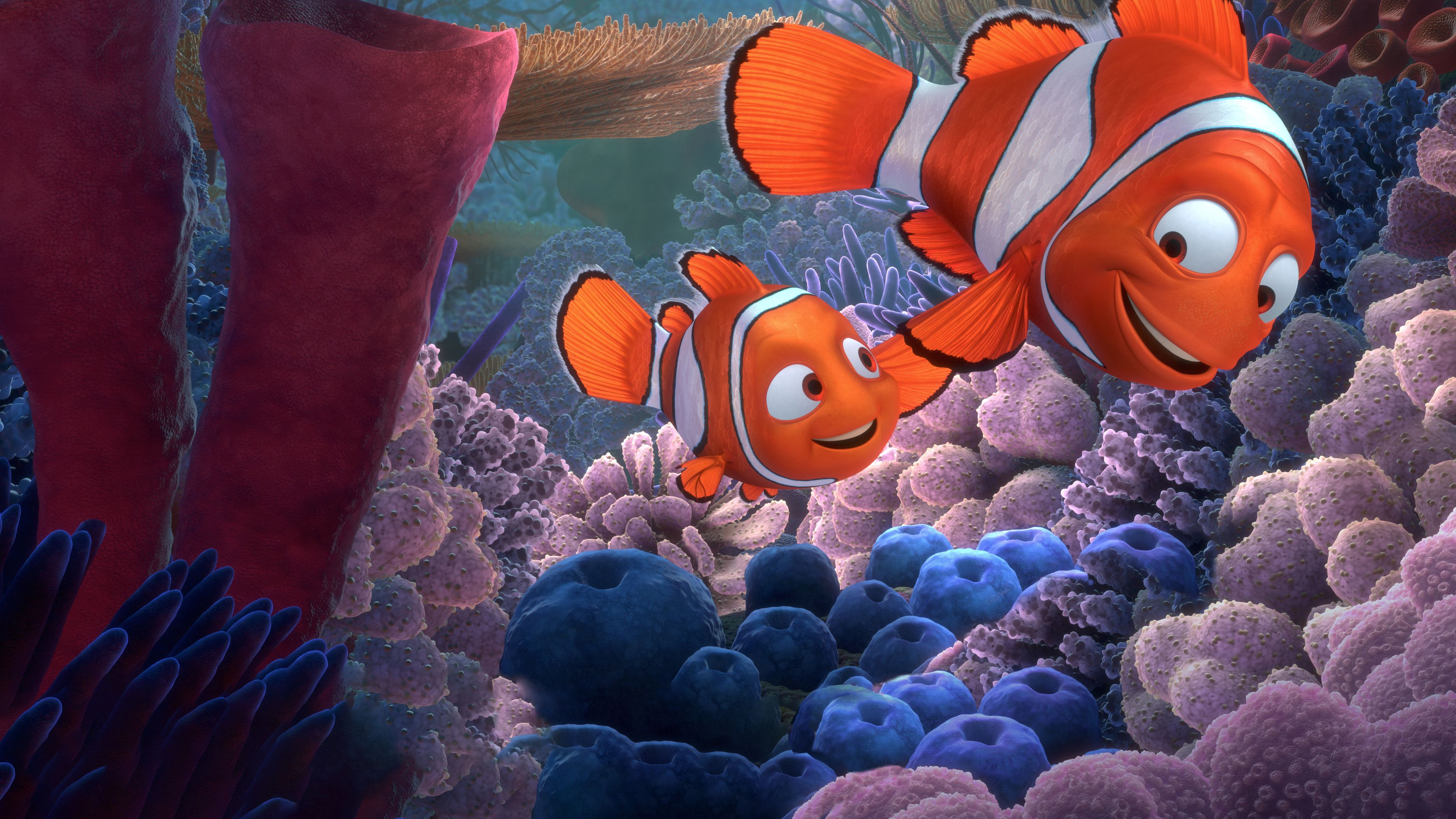 Hitta Nemo
