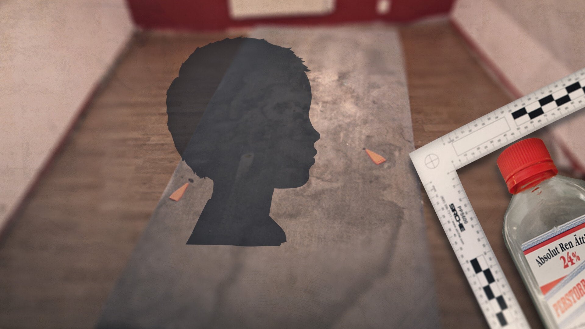 Ättiksfallet - flickan och förhören