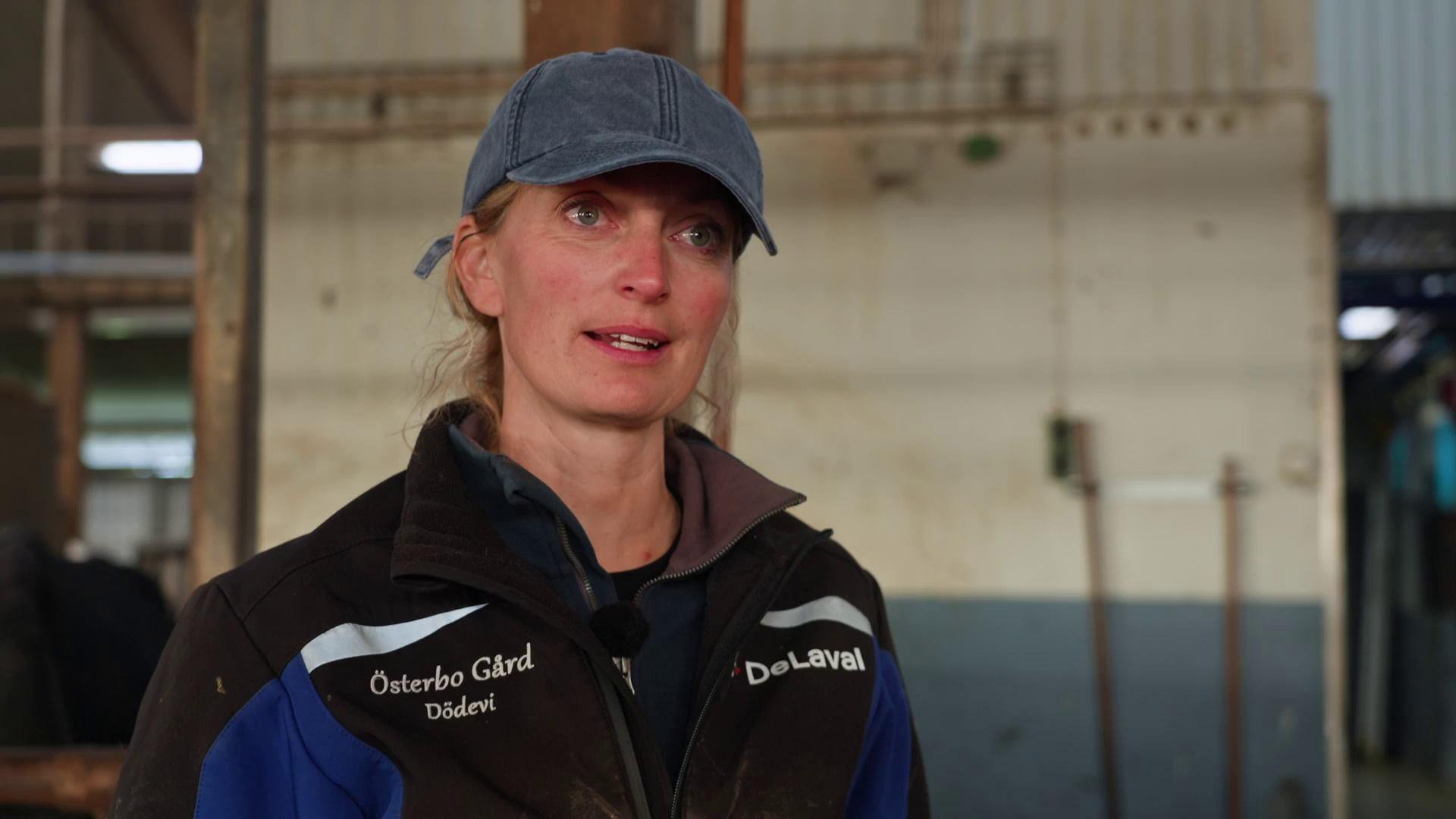 8. När lammen föds