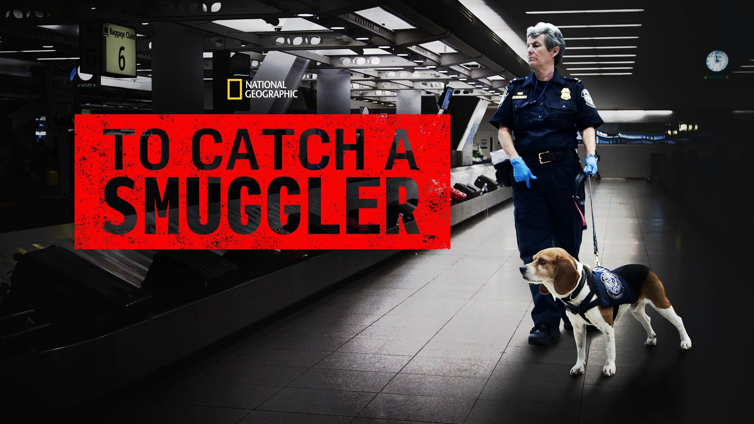 To Catch A Smuggler