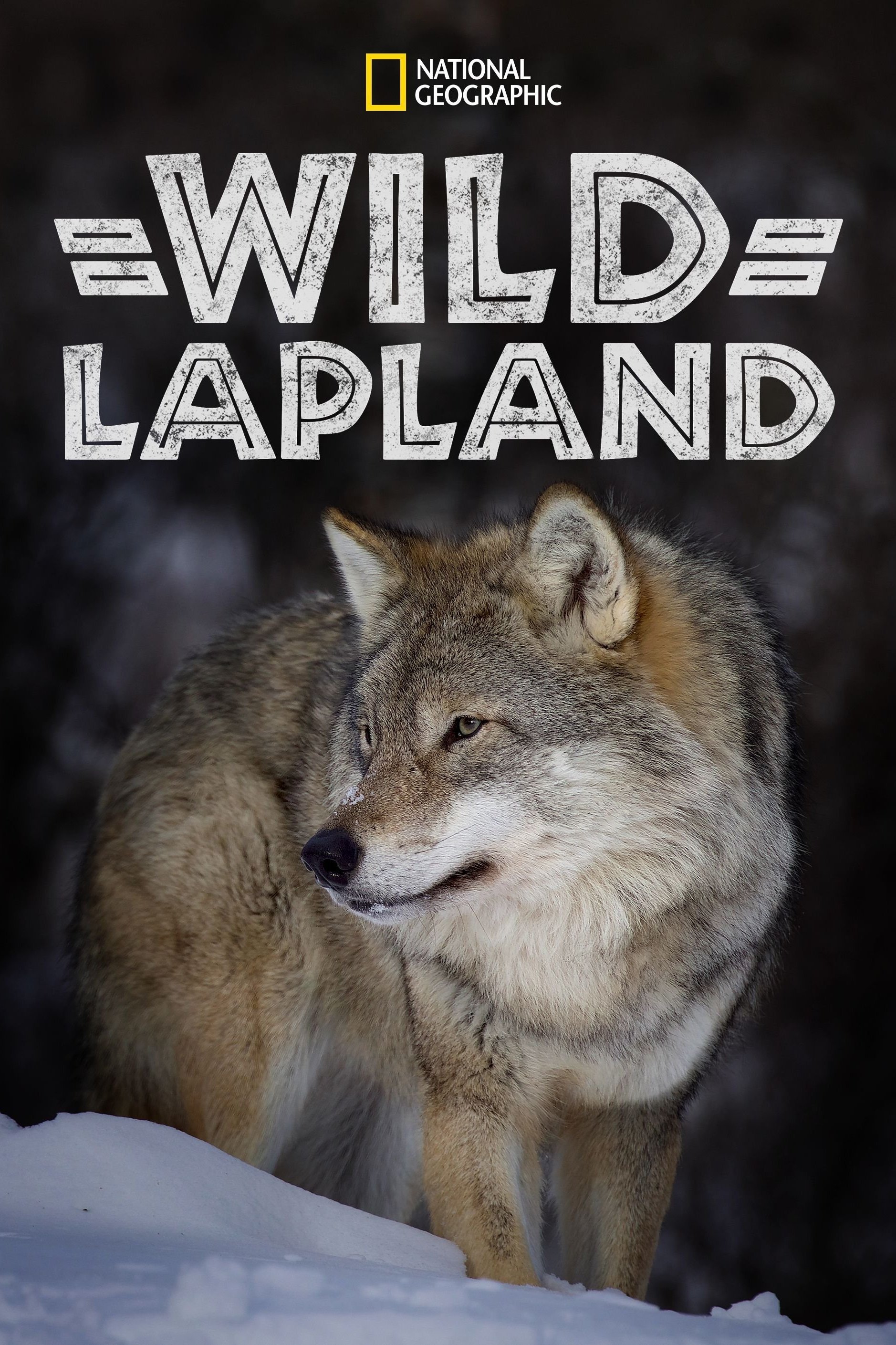Wild Lapland