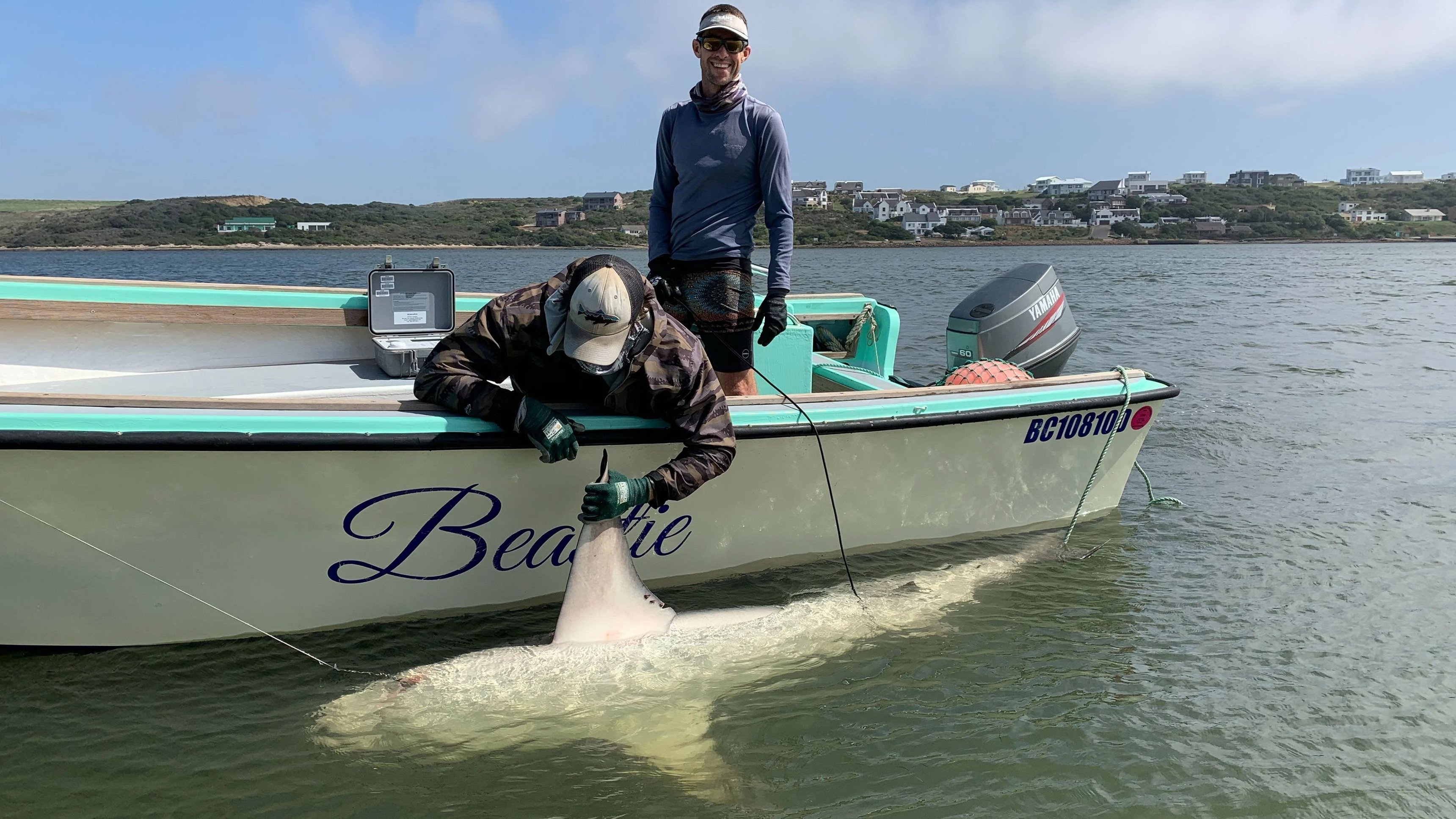 Secrets of The Bullshark