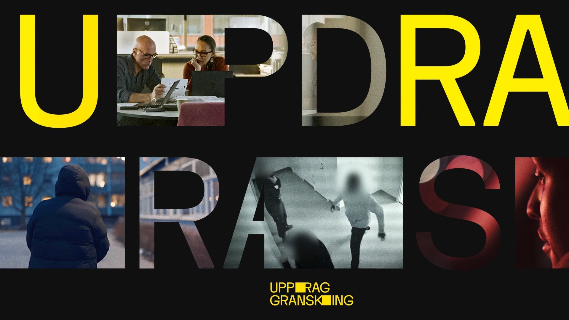 Uppdrag granskning