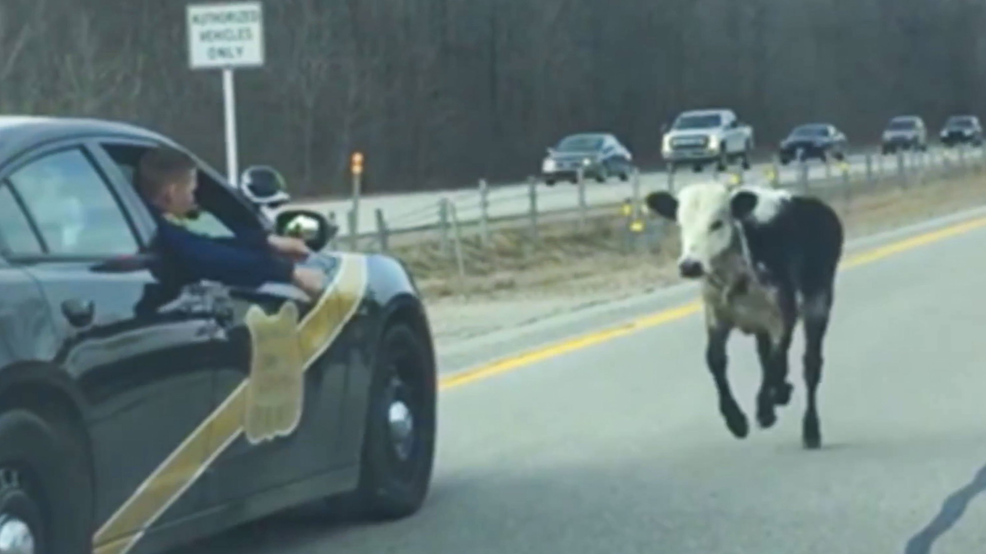 10. Roadway Ridiculousness