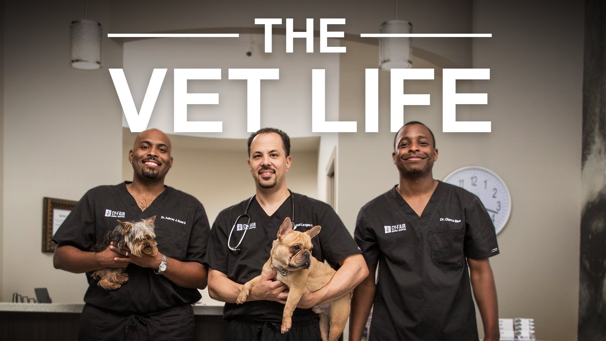 The Vet Life