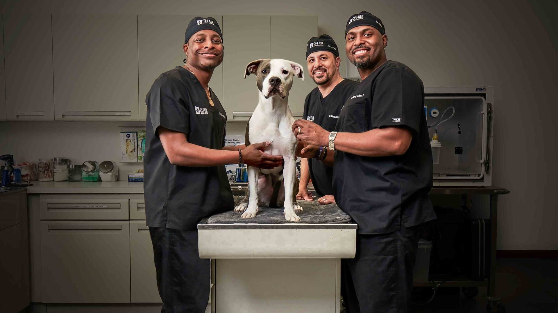The Vet Life