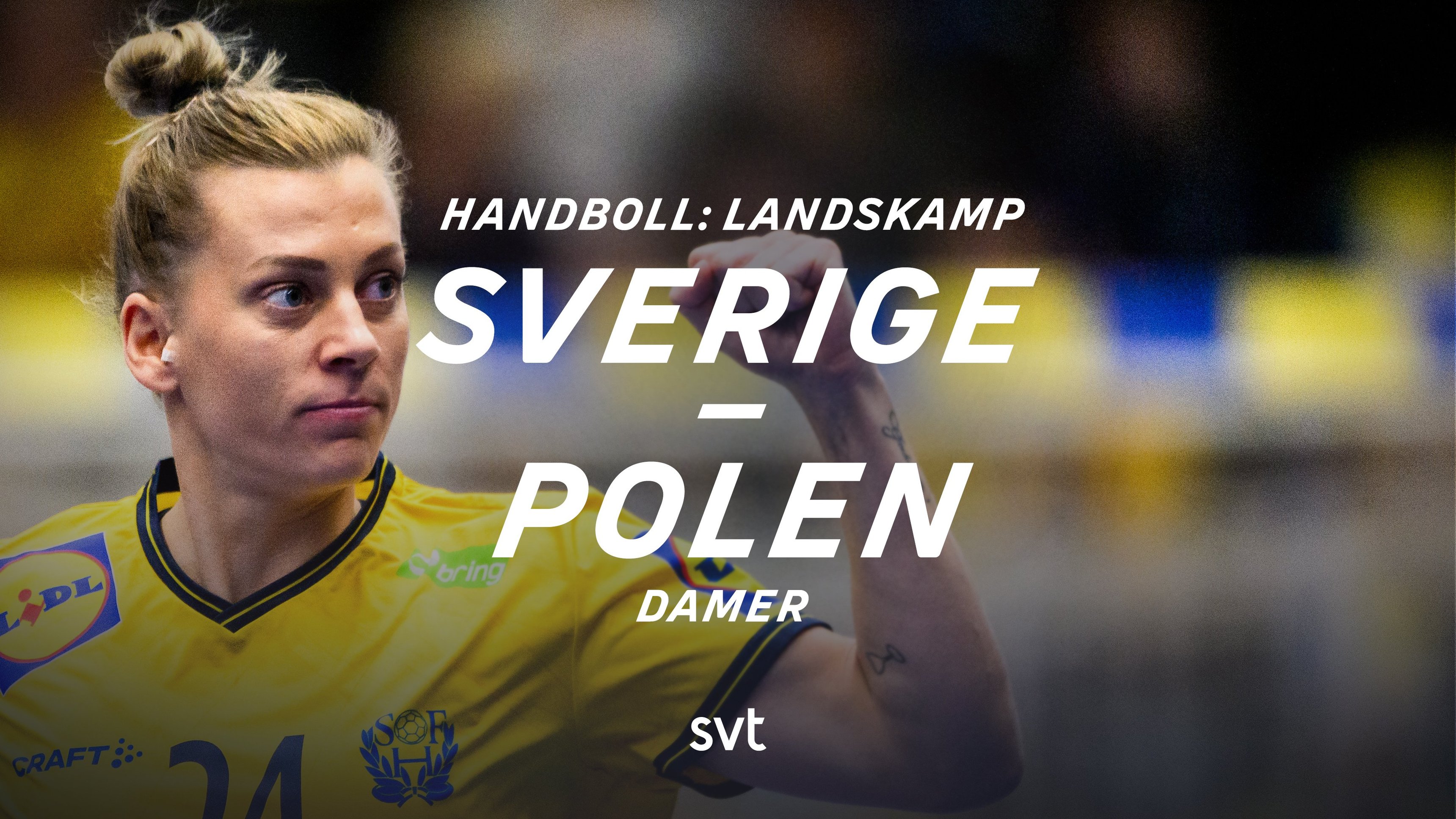 6. Sverige-Polen