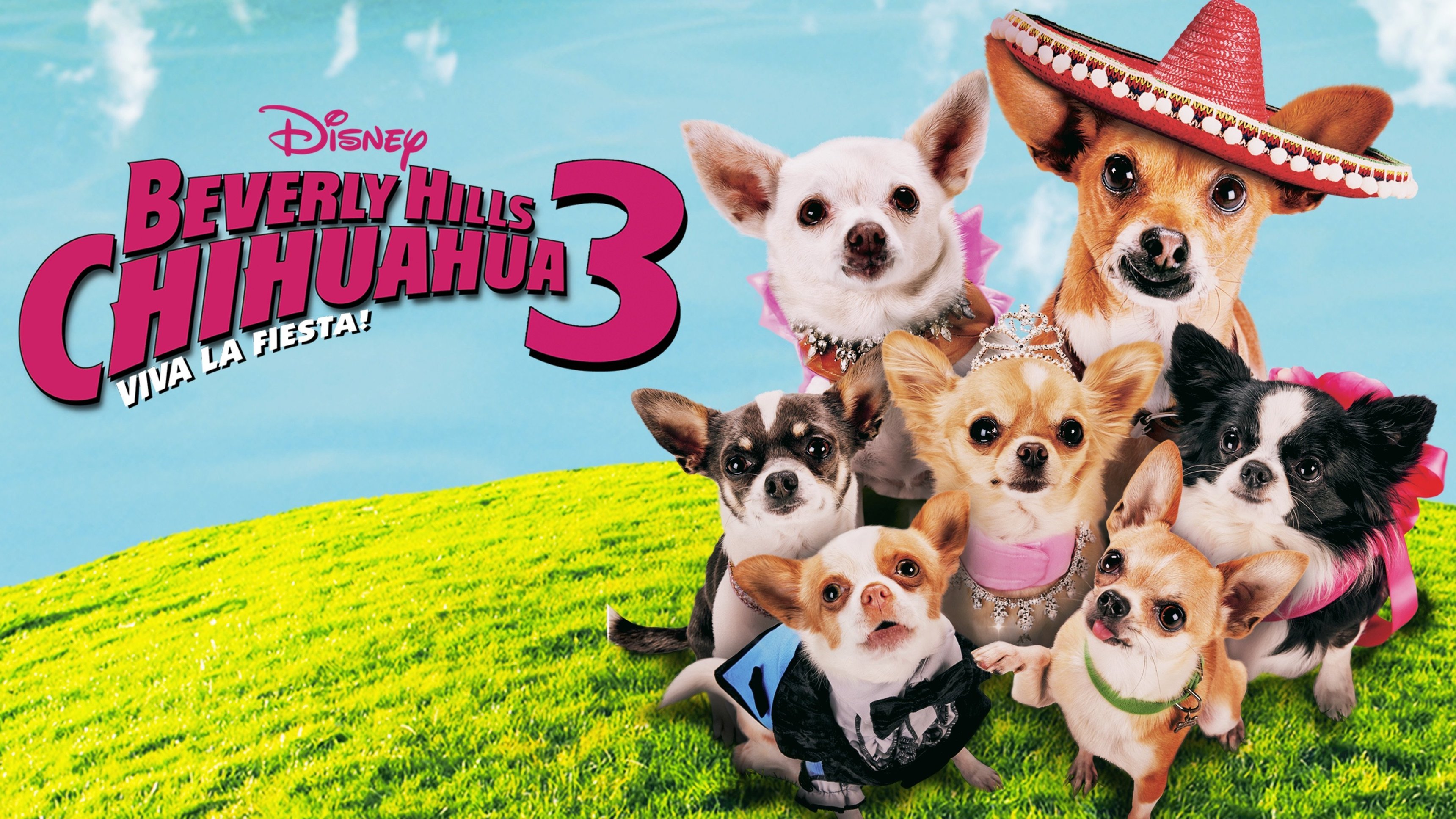 Le Chihuahua de Beverly Hills 3 : Viva La Fiesta !