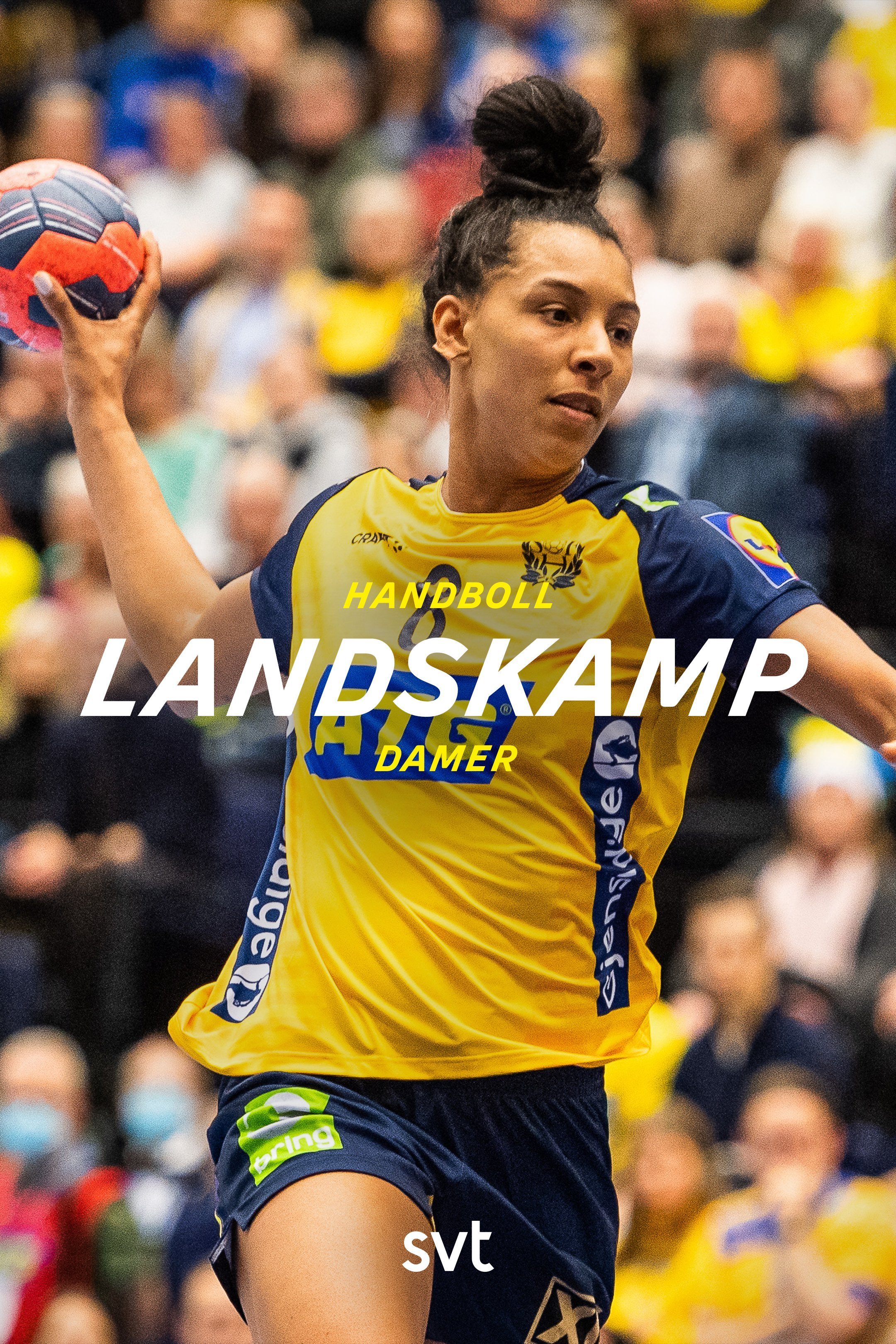 Handboll: Landskamp