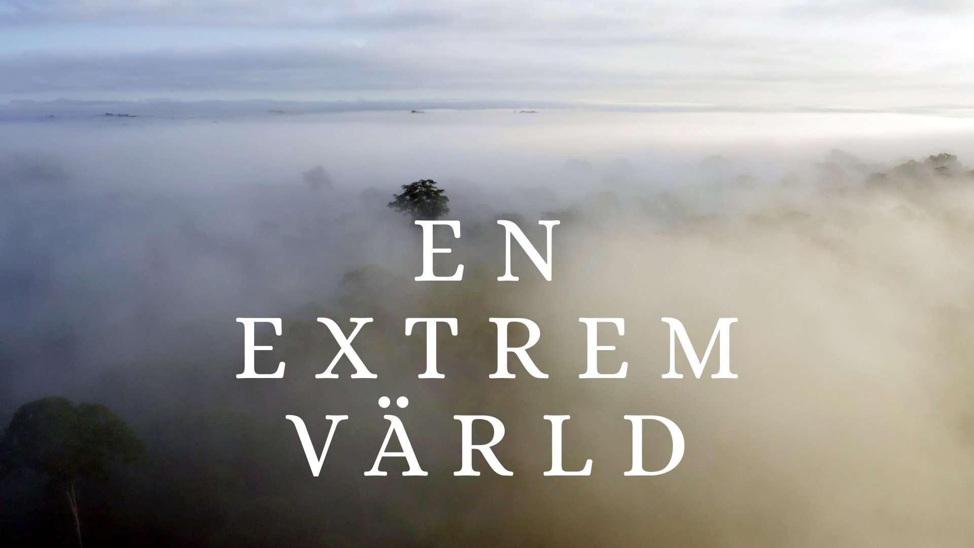 En extrem värld