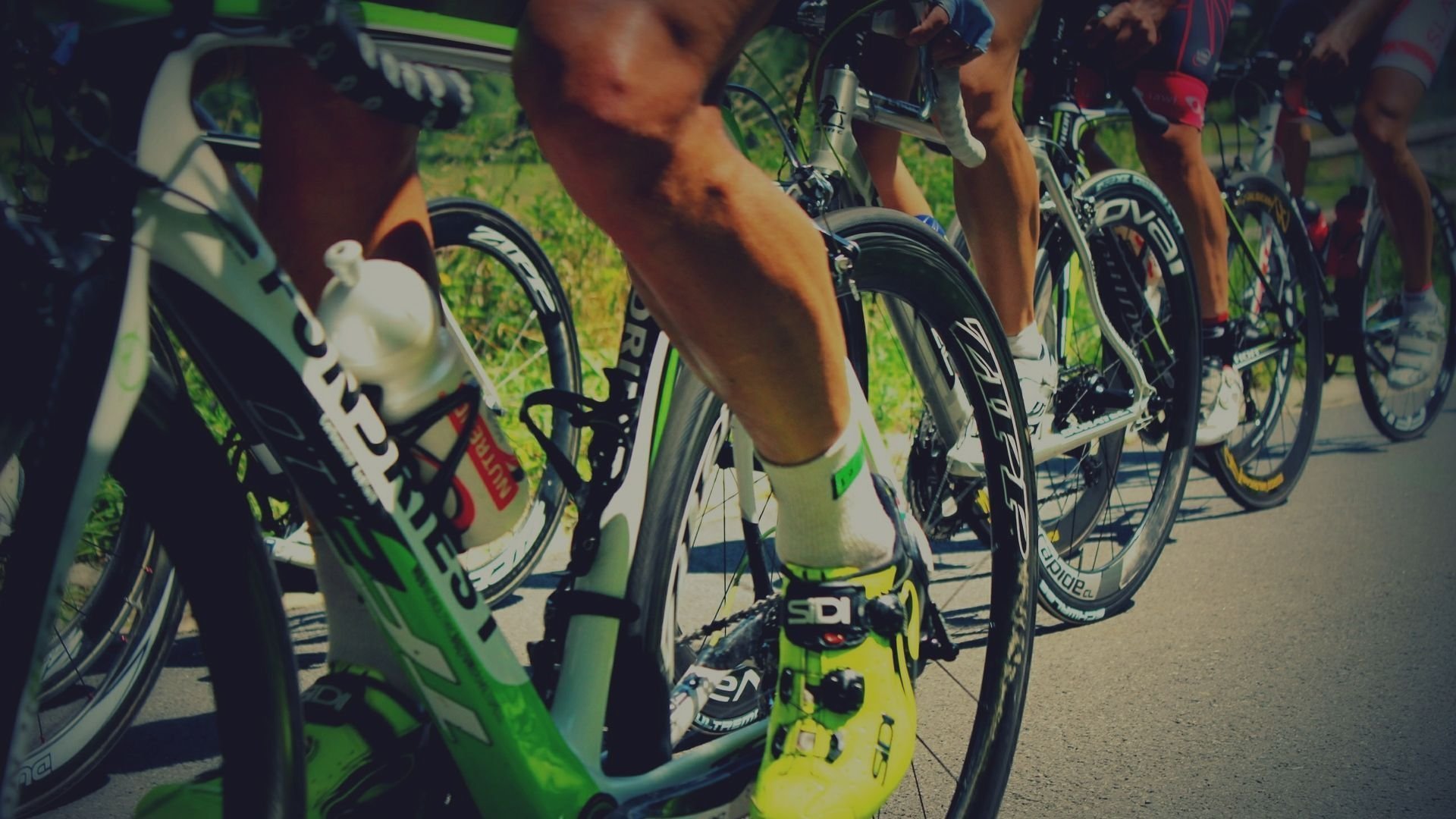 Championship of Flanders