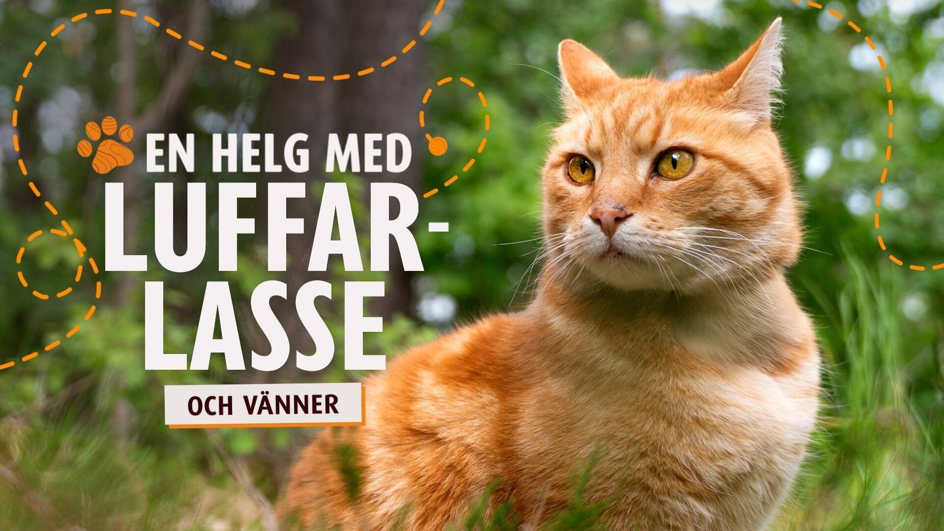 En helg med Luffar-Lasse: Bakom kulisserna