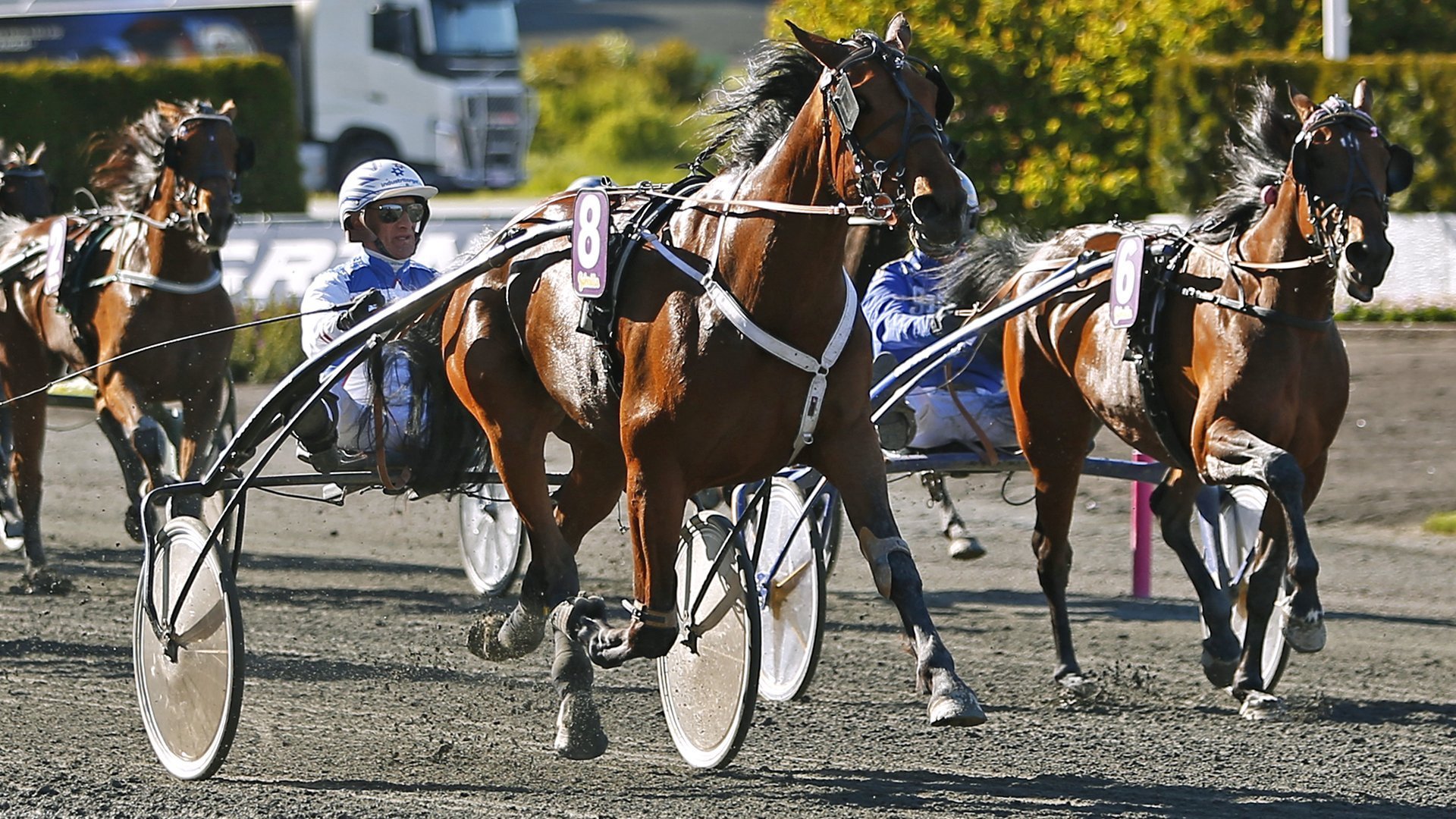 Tips inför V4 | Trav, Tipsprogram