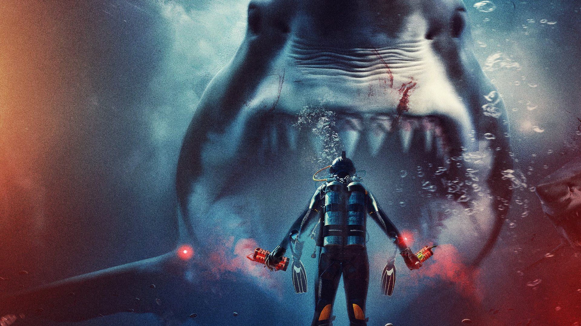 Bull Shark 3