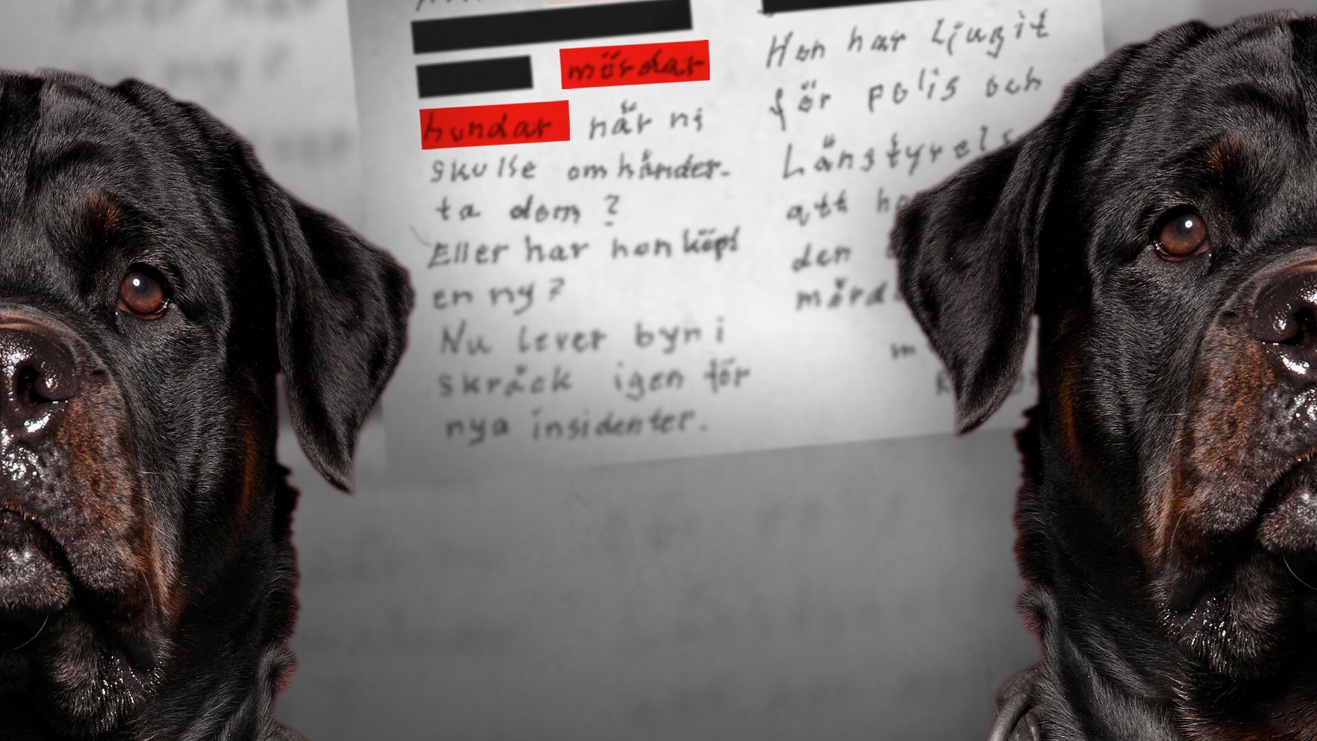 Kalla fakta: Mördarhundarna i Kalix