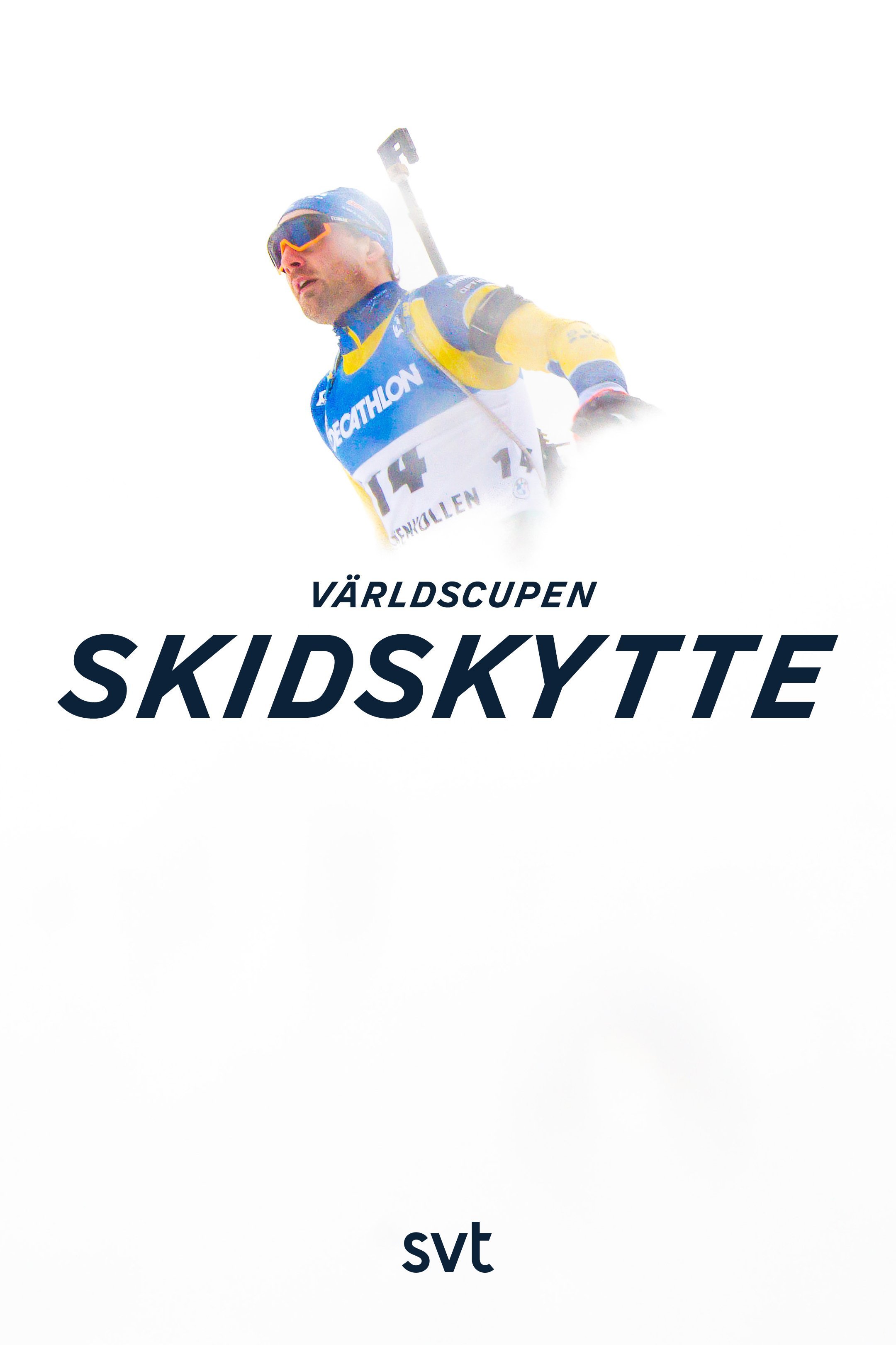 Skidskytte: Världscupen