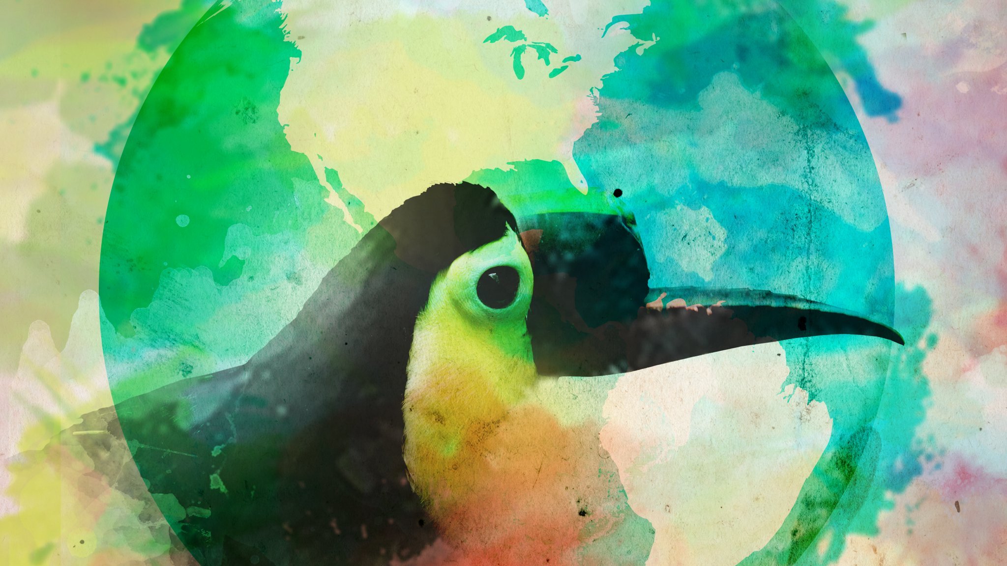 Toucan Nation