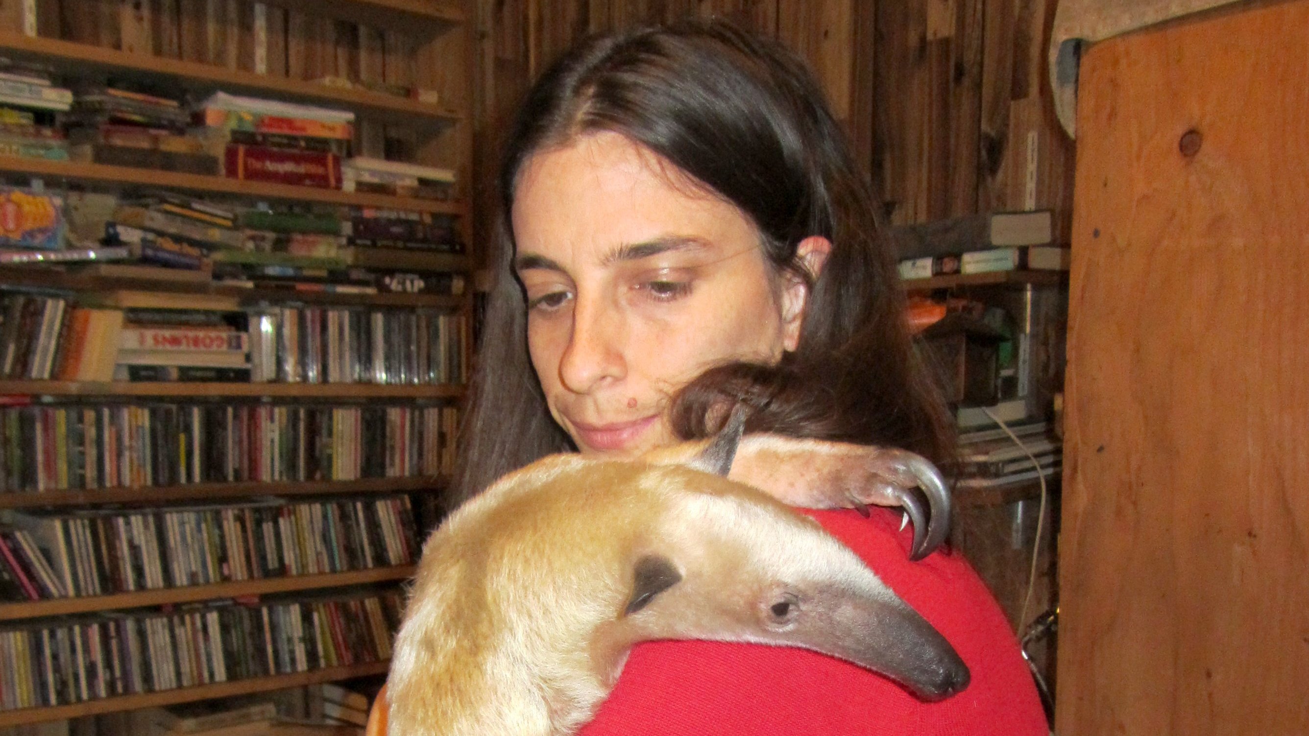 3. Petting Jaws