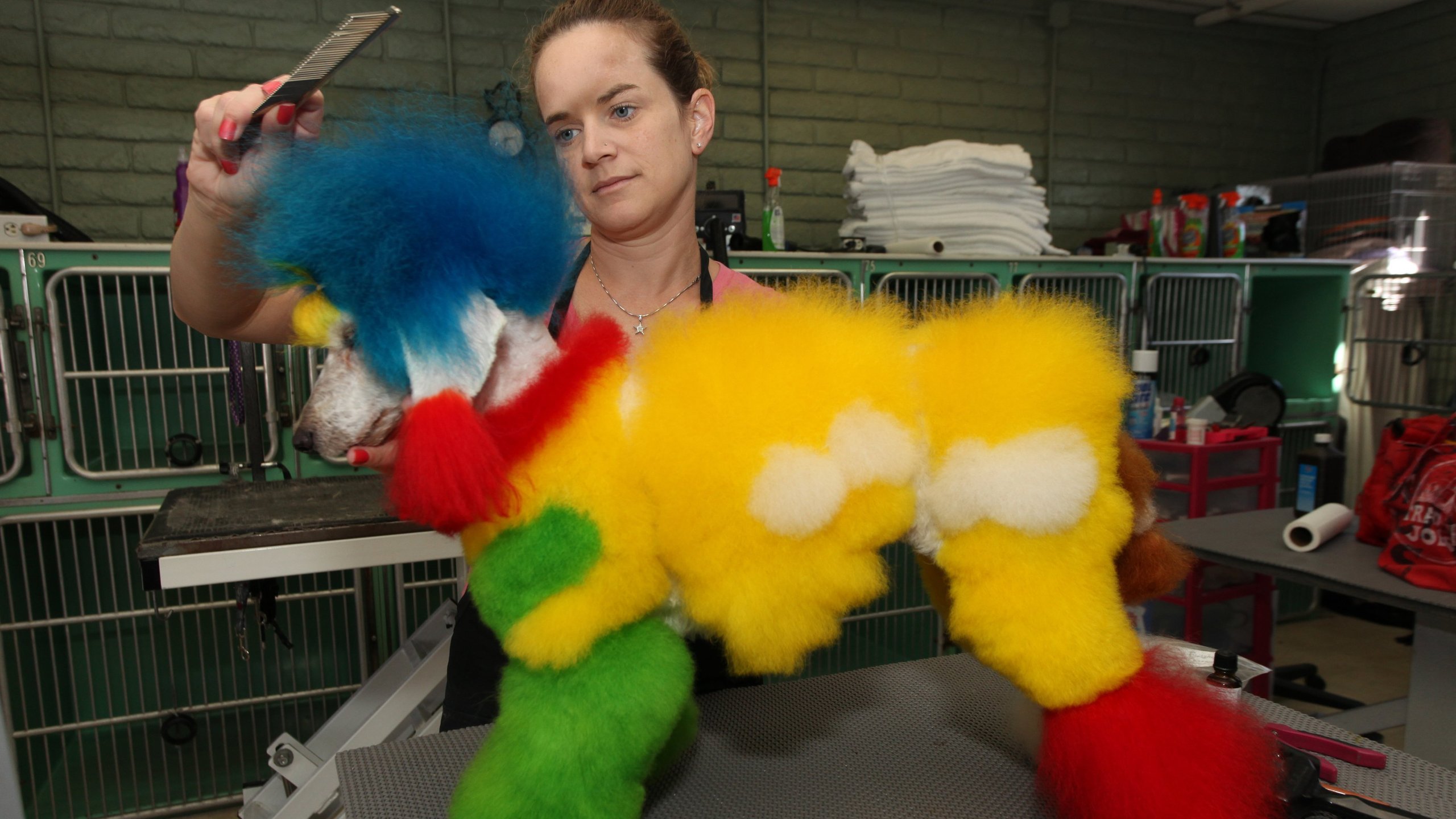 4. Pimped Up Poodles