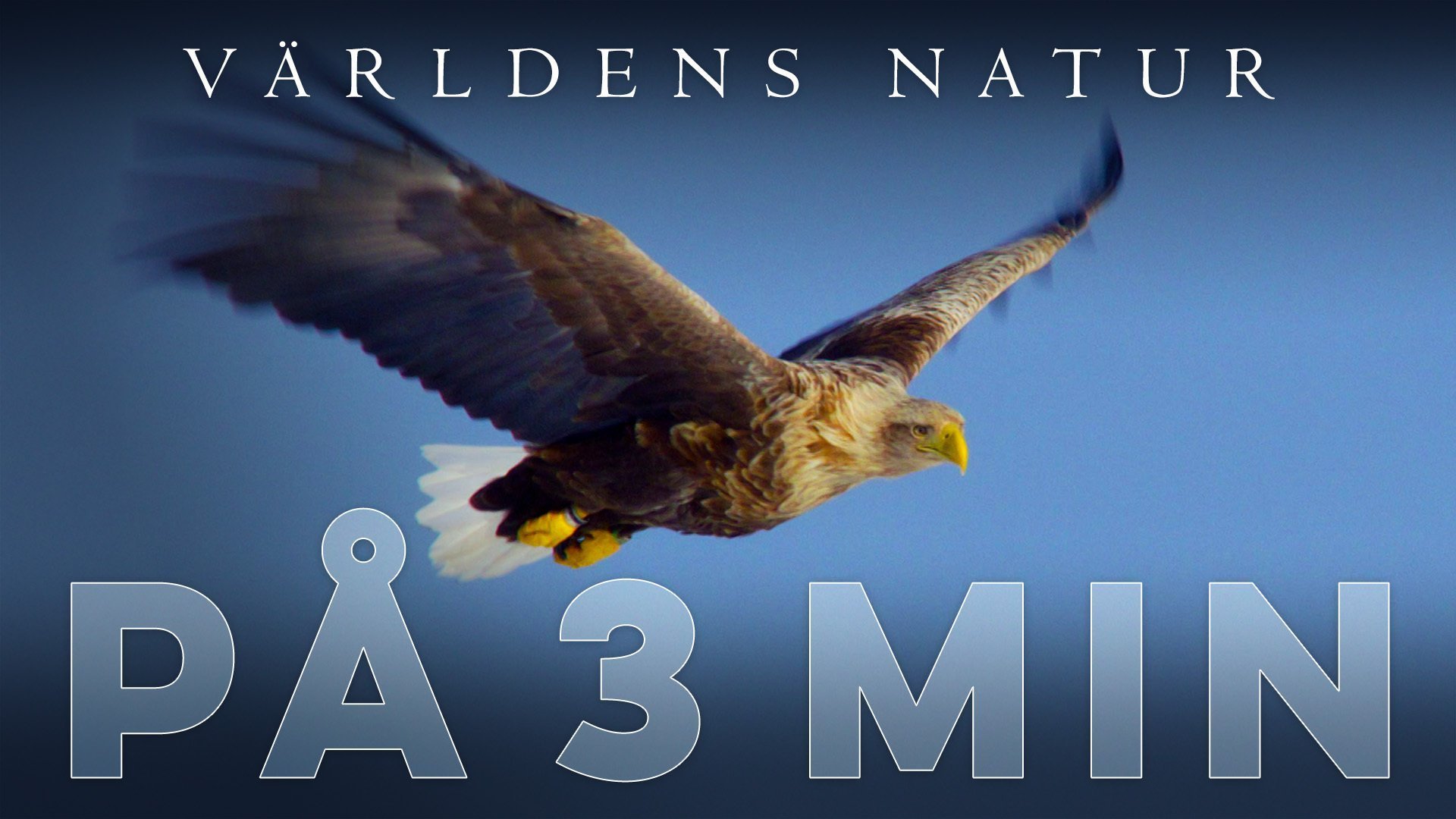 Världens natur: På tre minuter