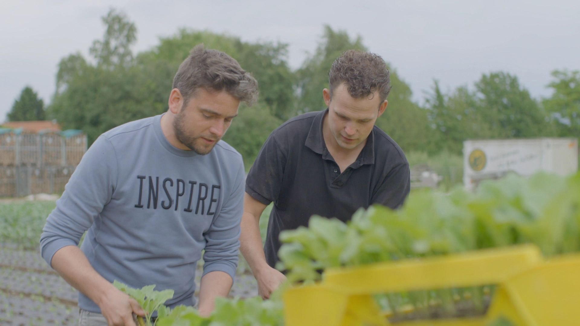 2. Flemish Stew with Smoked Sausage