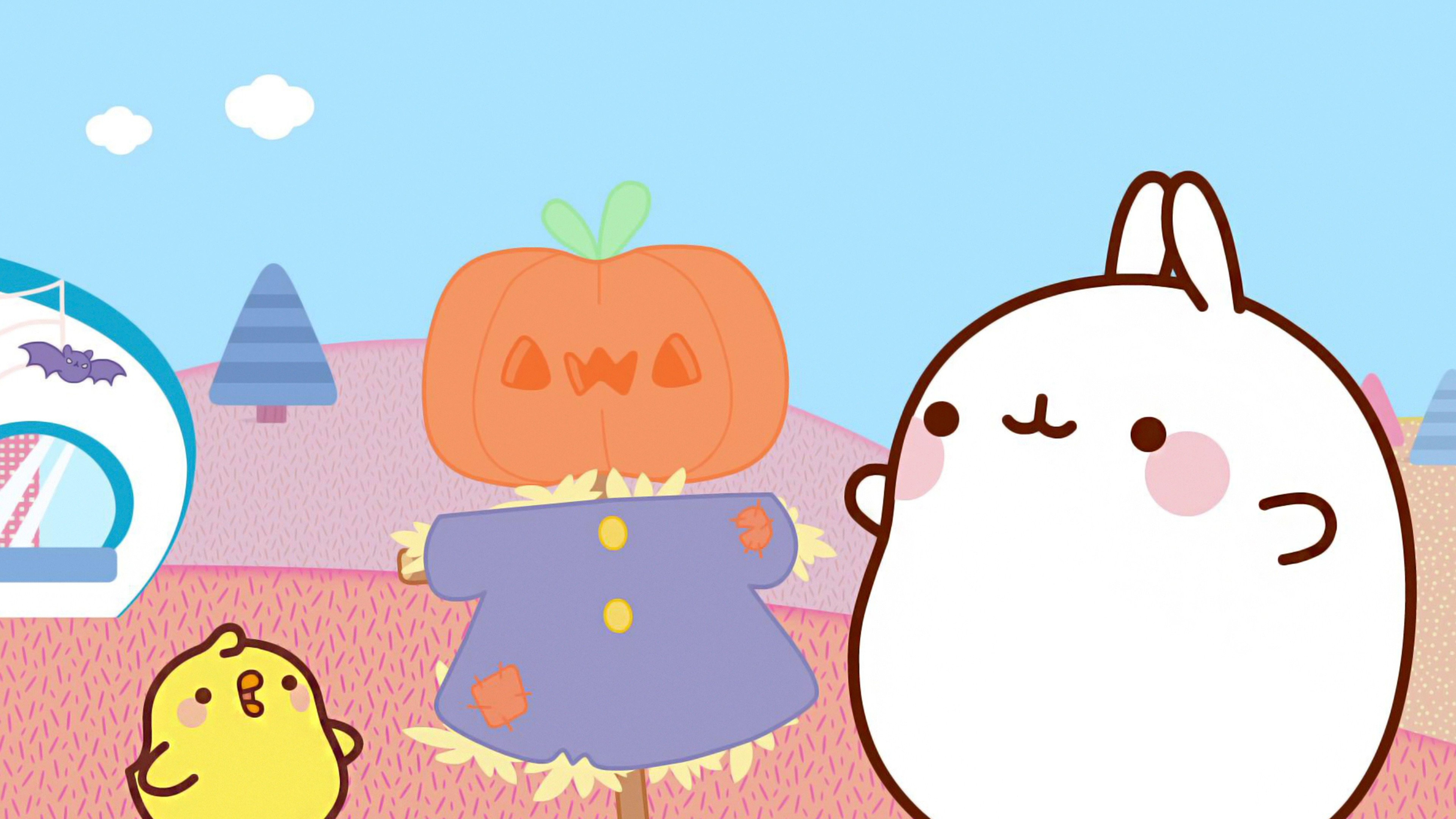 19. Pumpa