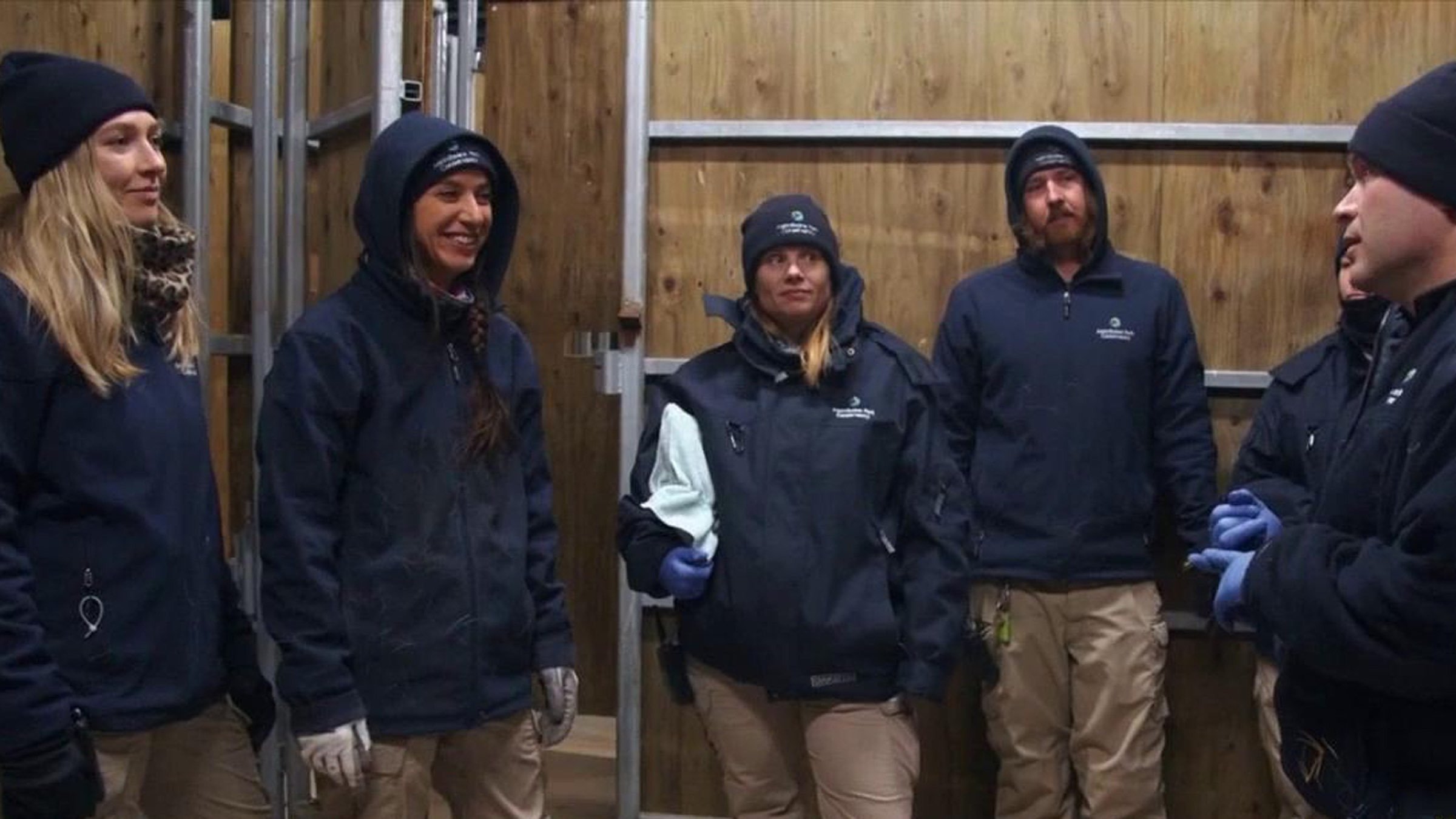 5. Räddad virginiauv