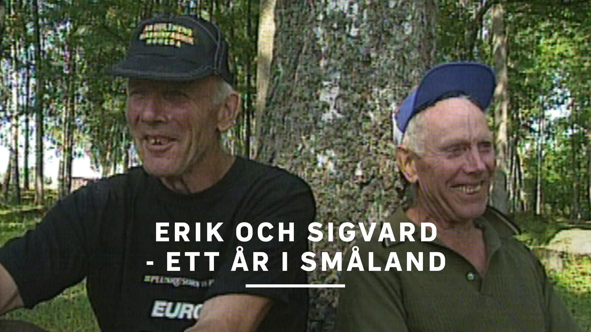 Erik och Sigvard - Ett år i Småland