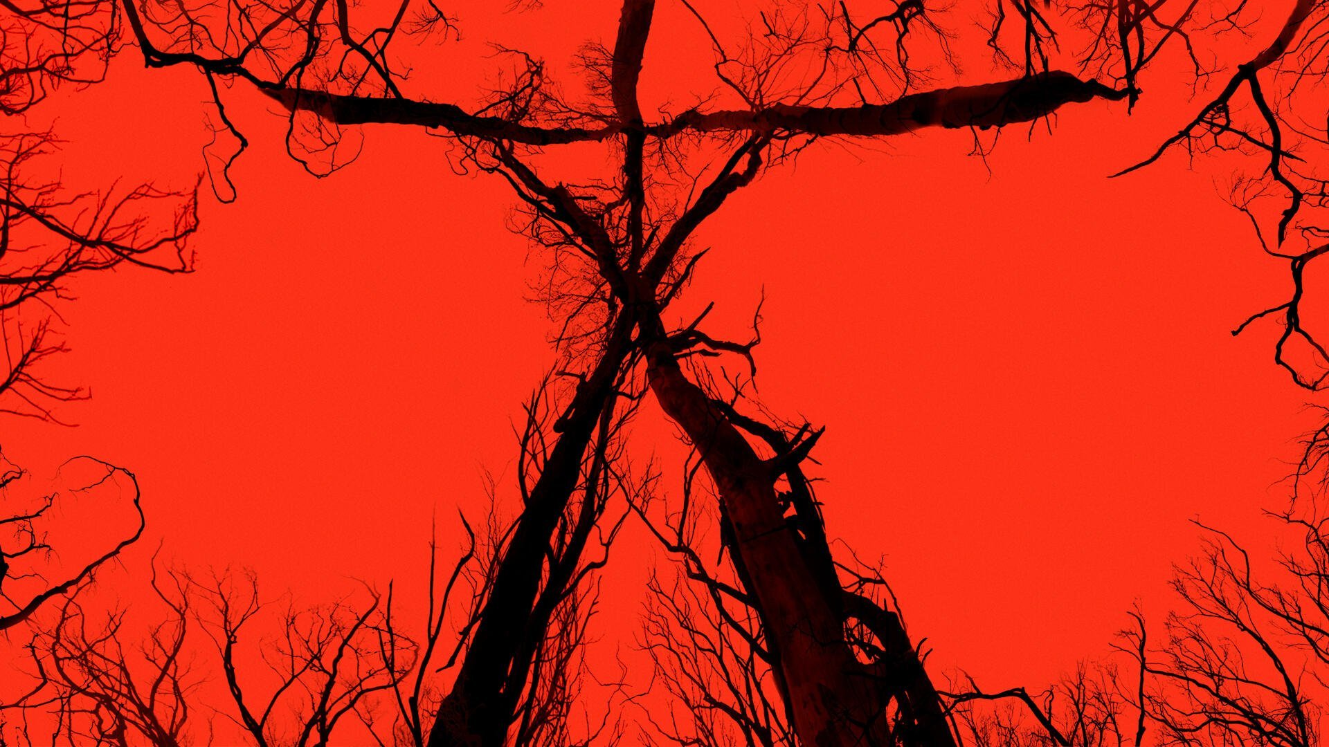 Blair Witch